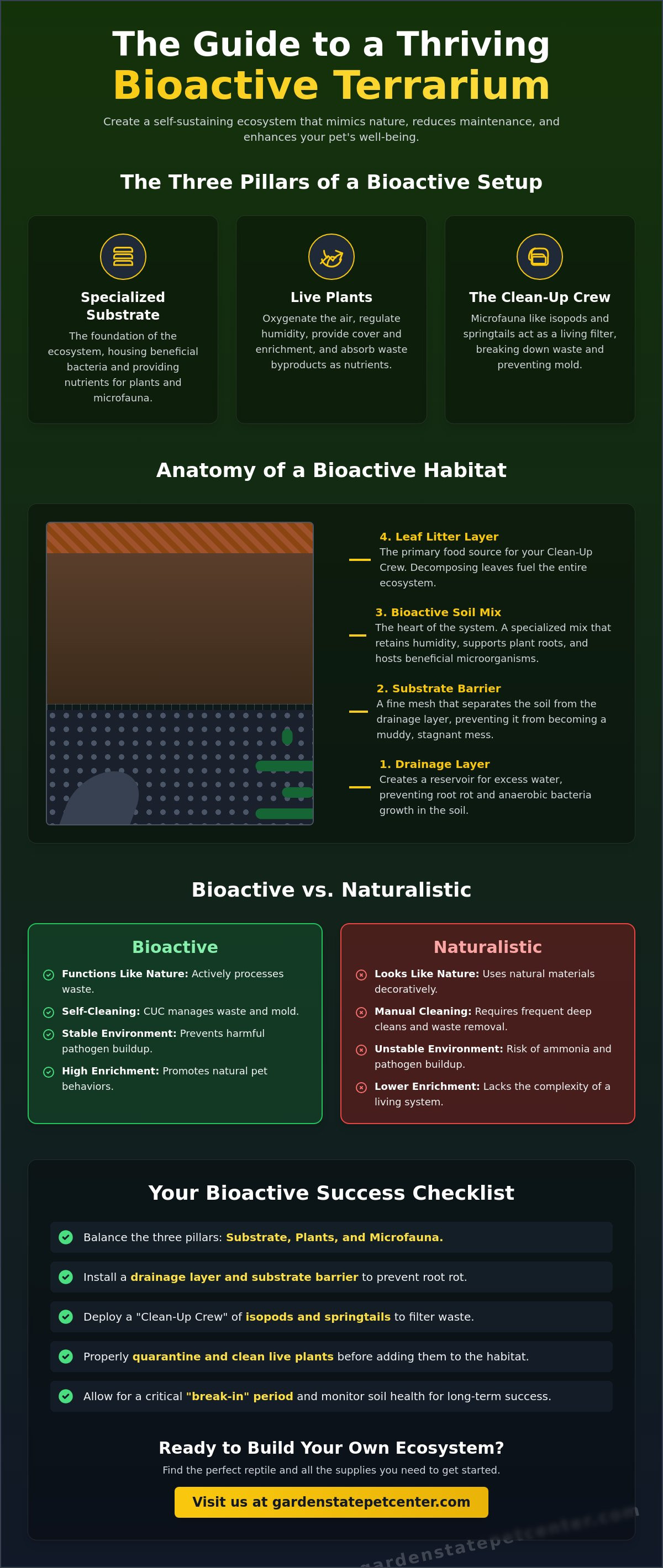 Bioactive terrarium setup