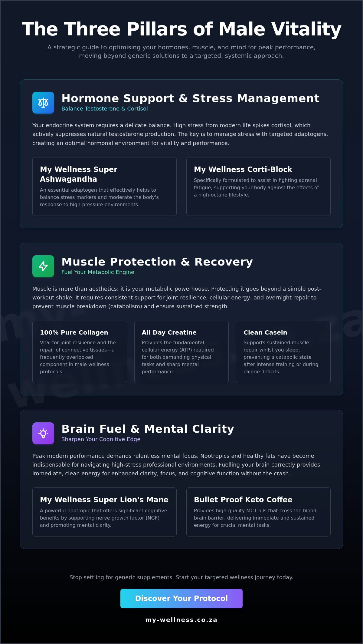 Men's wellness supplements south africa