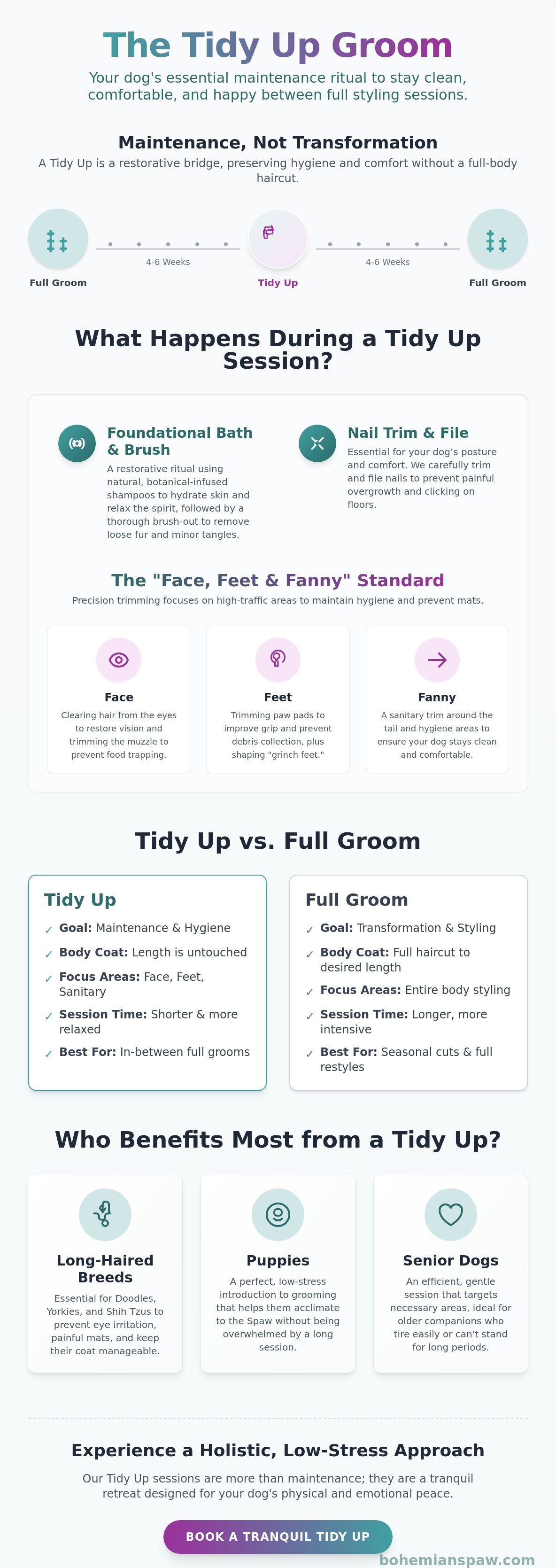 What is a tidy up groom for a dog