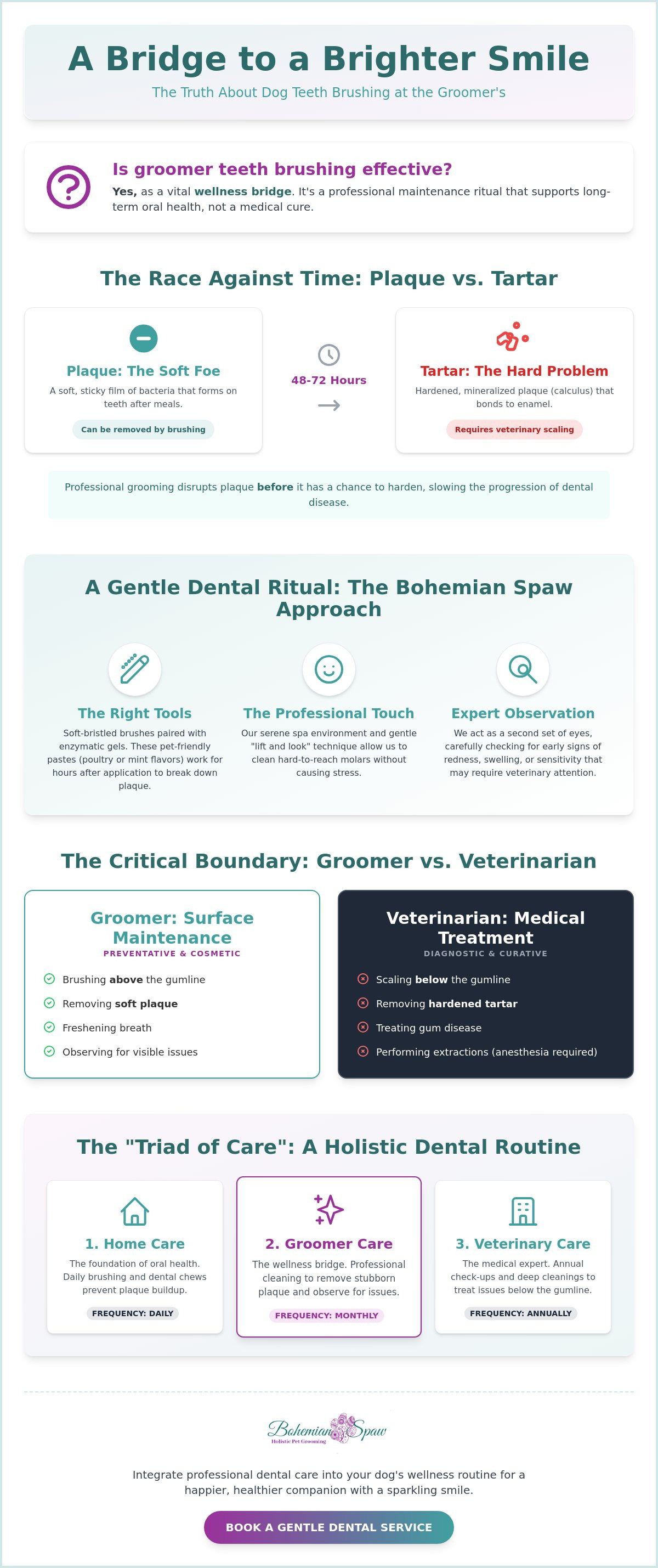 Is dog teeth brushing at groomers effective