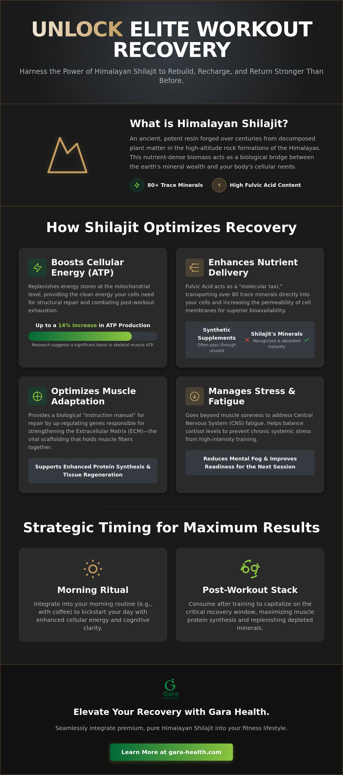 Shilajit for workout recovery