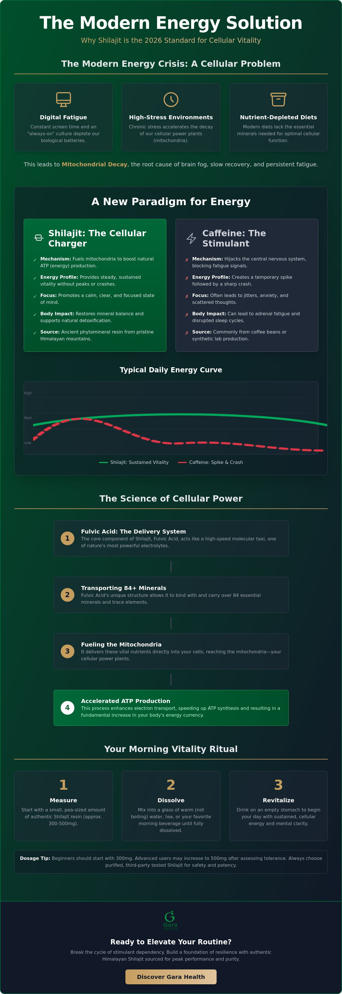 Shilajit for energy
