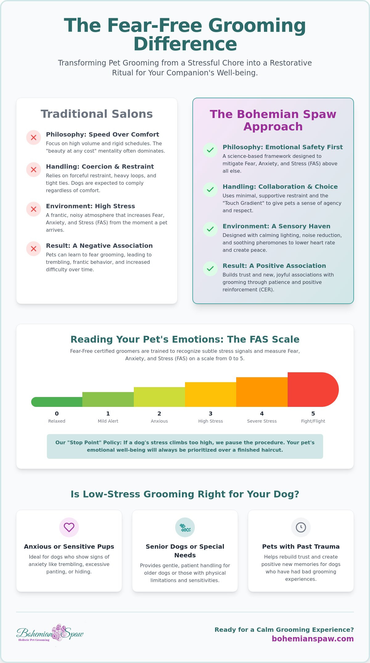 Fear-free certified groomer Naperville