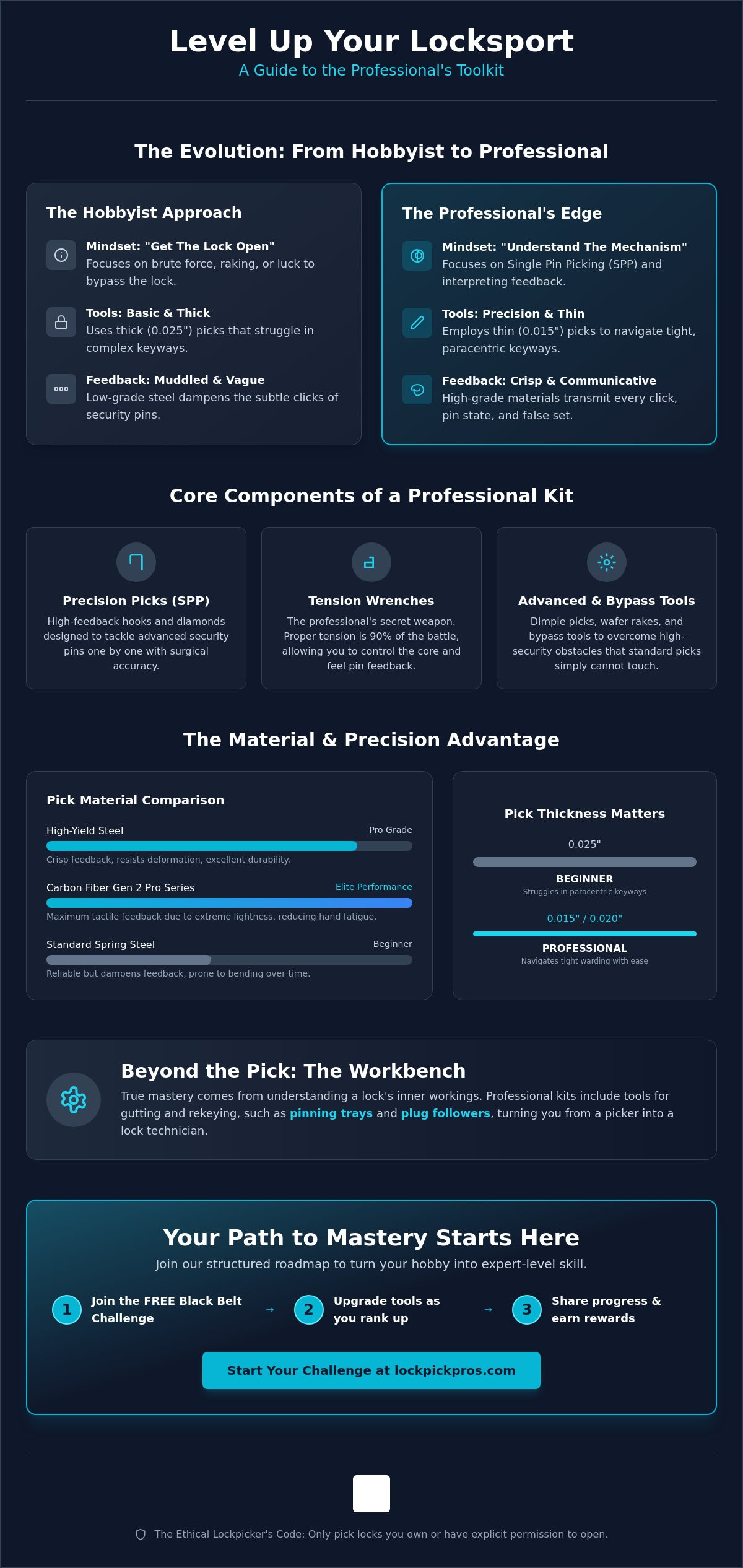 Professional locksmith tool kit
