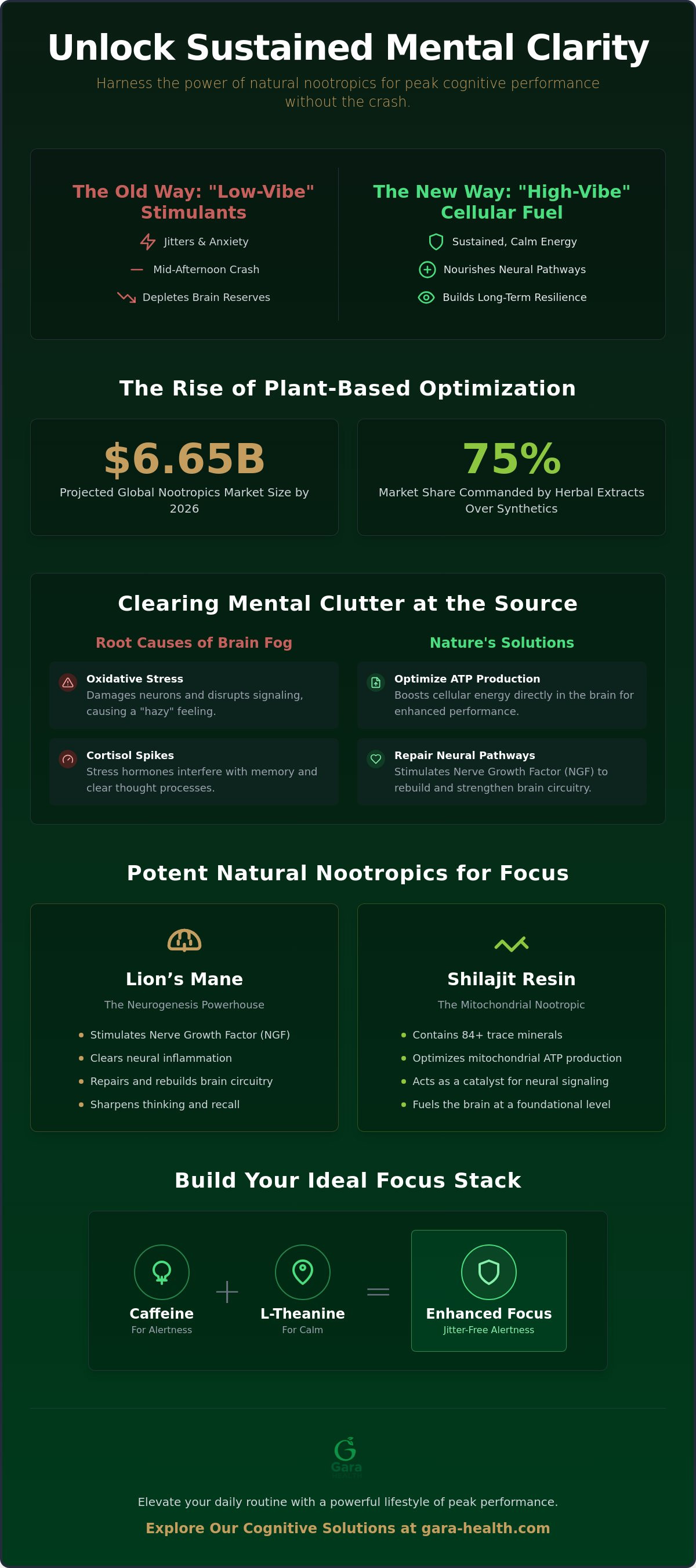 Natural nootropics for focus