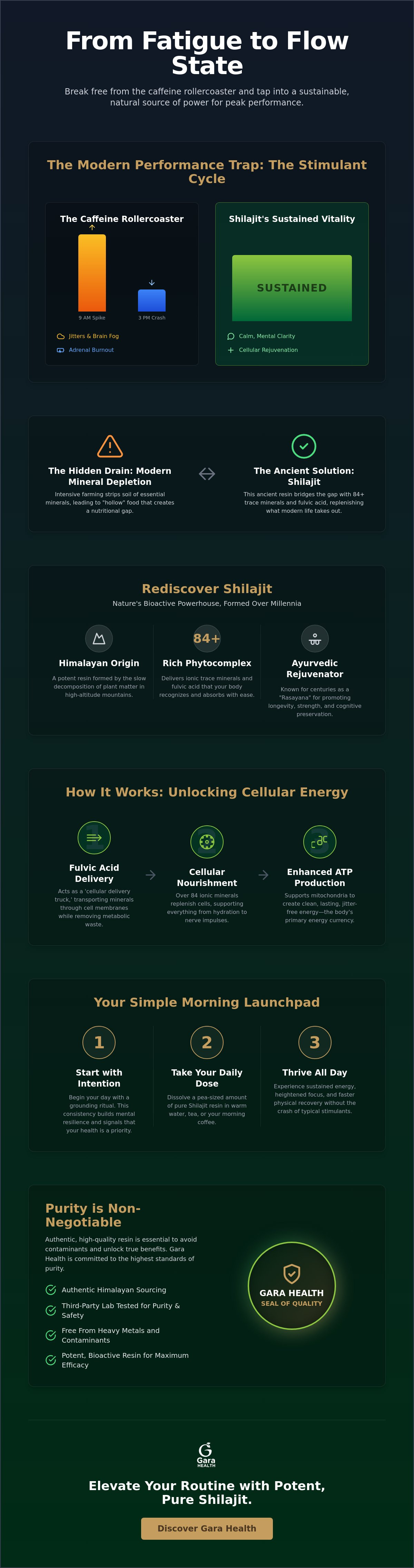 Shilajit for daily wellness