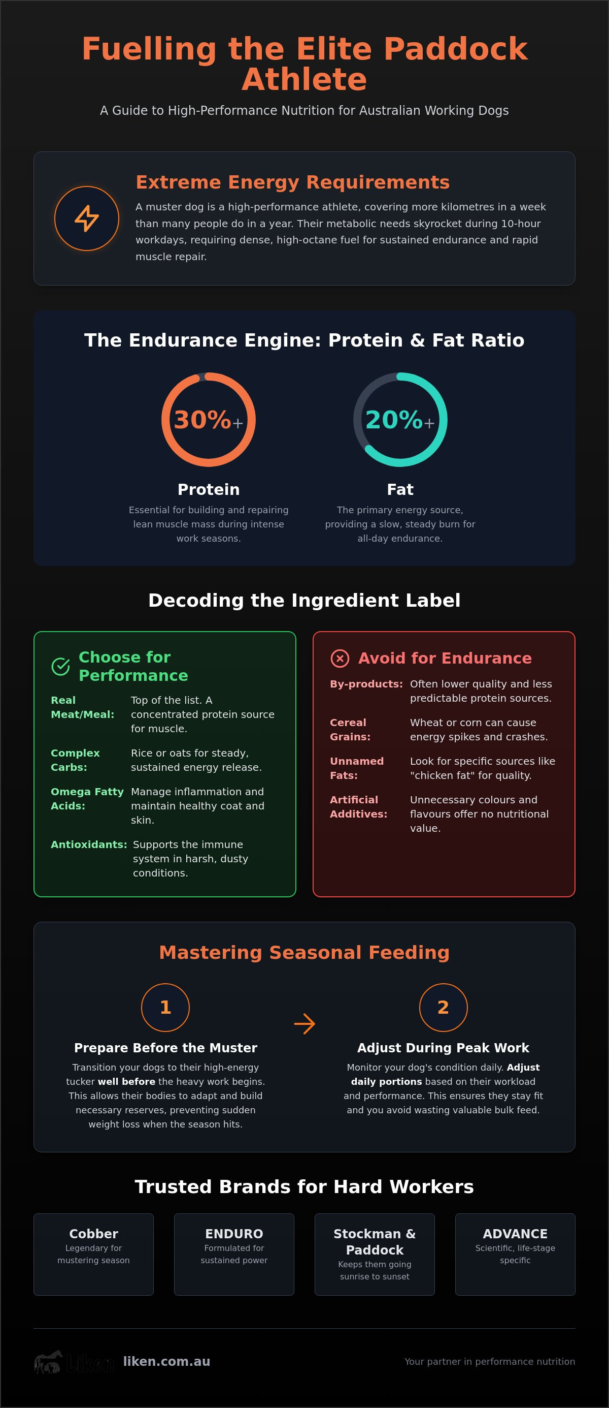 Best working dog food brands australia