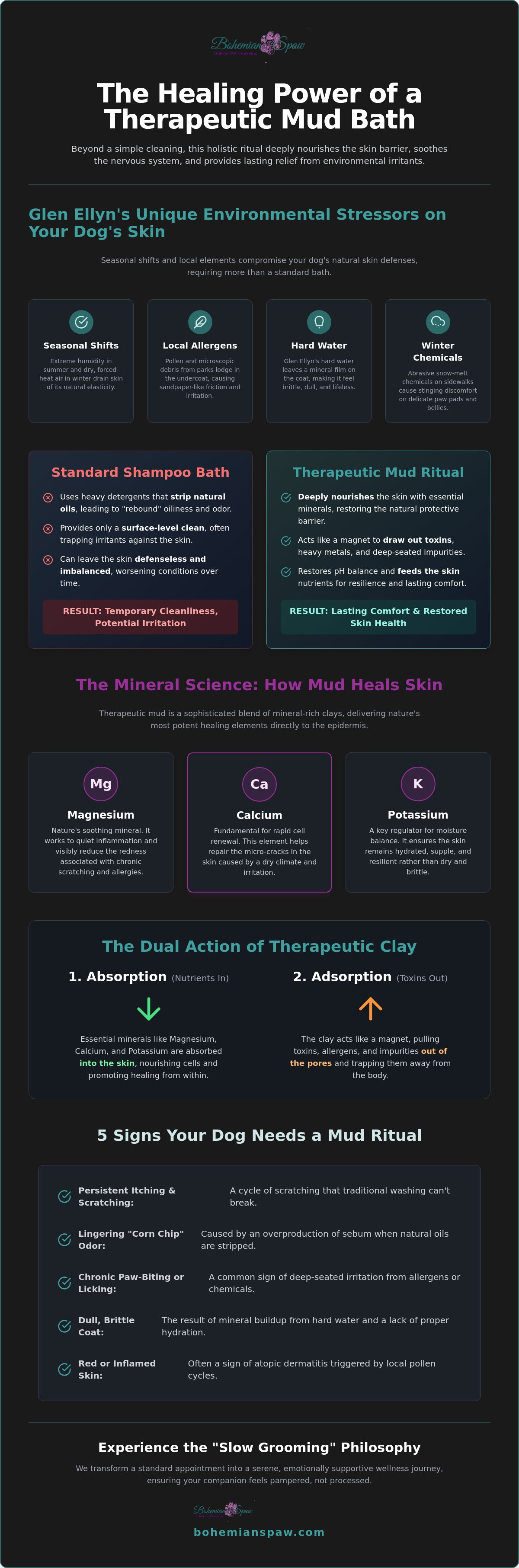 Therapeutic mud bath for dogs Glen Ellyn