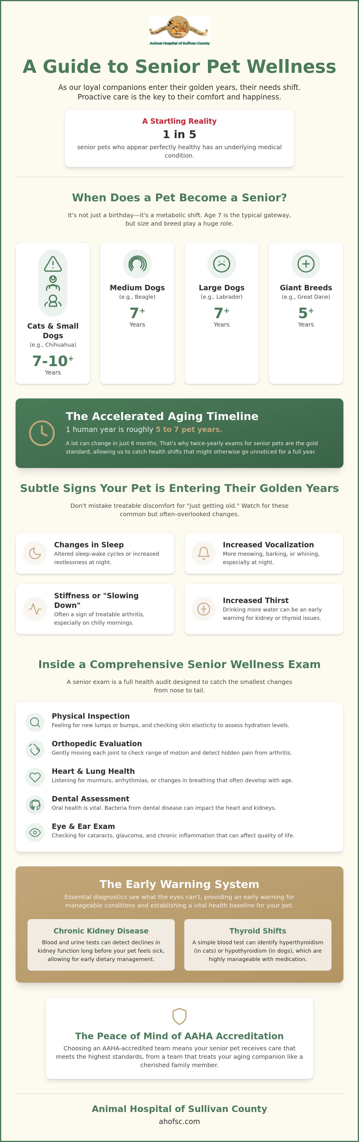 Senior pet wellness exams Sullivan County
