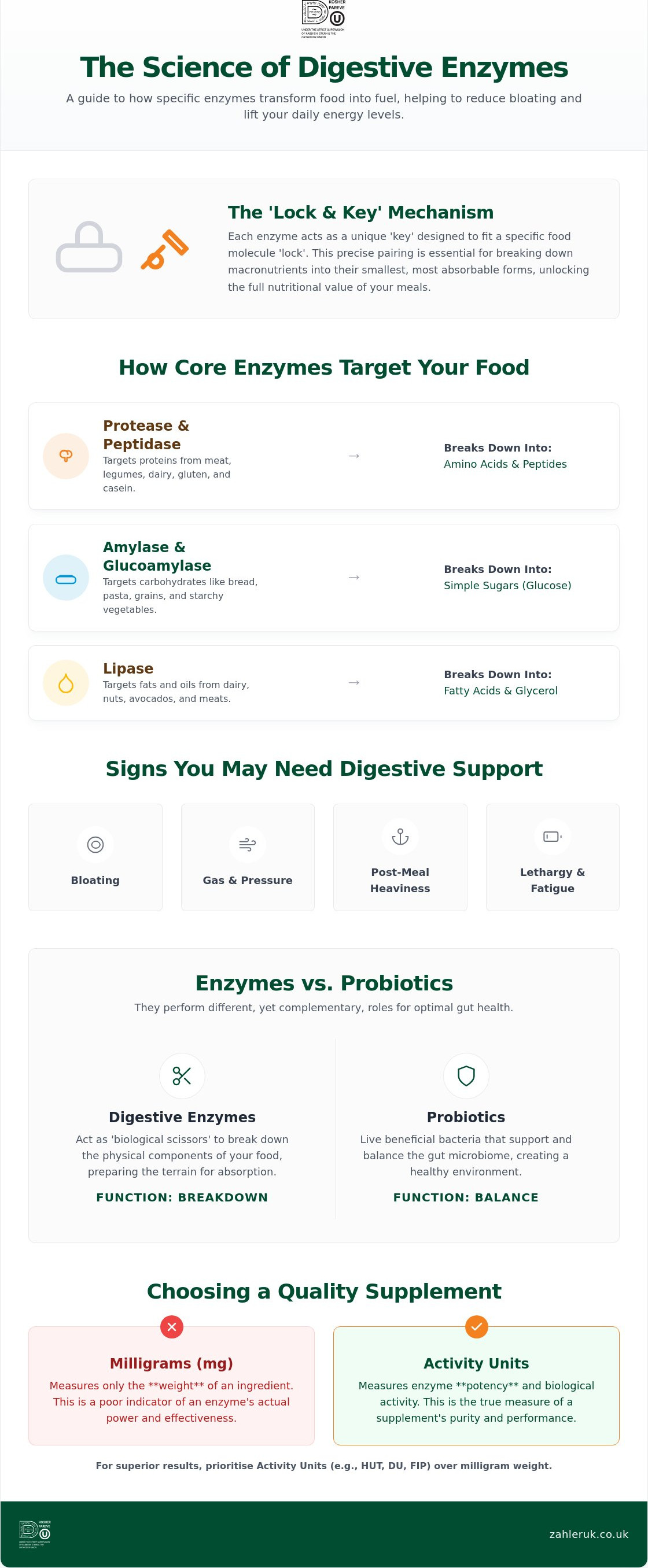 Digestive enzyme supplement UK