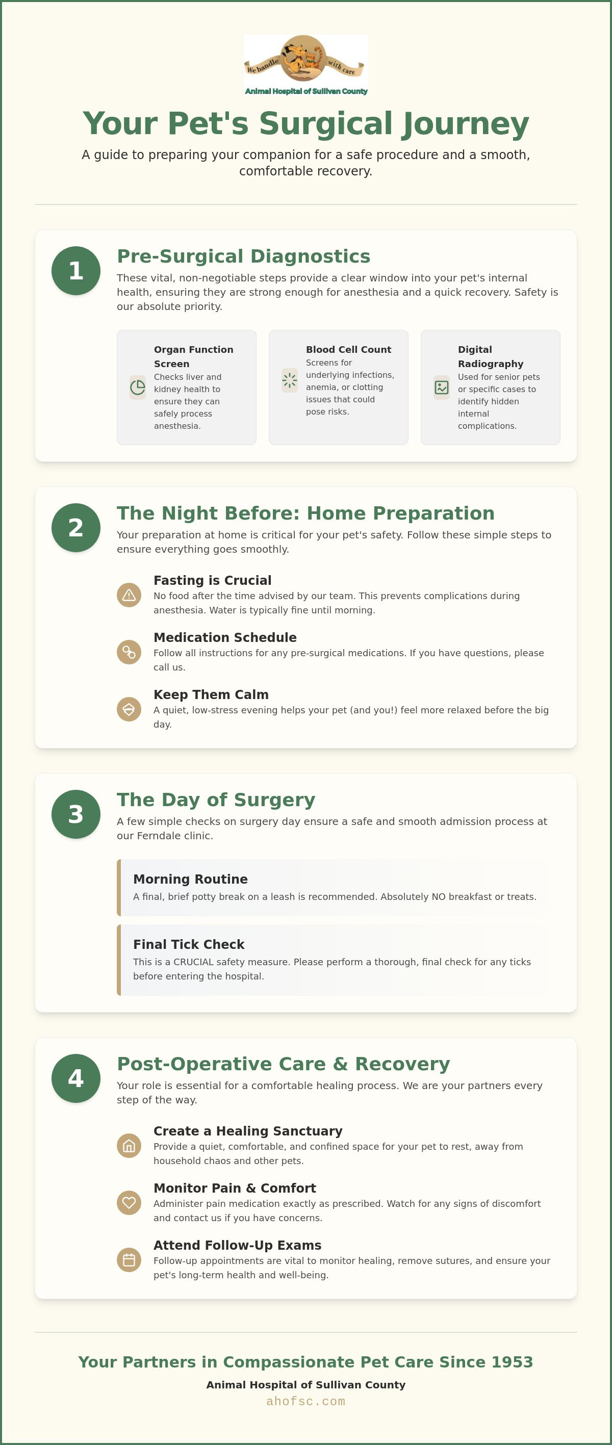 Preparing your pet for surgery Sullivan County