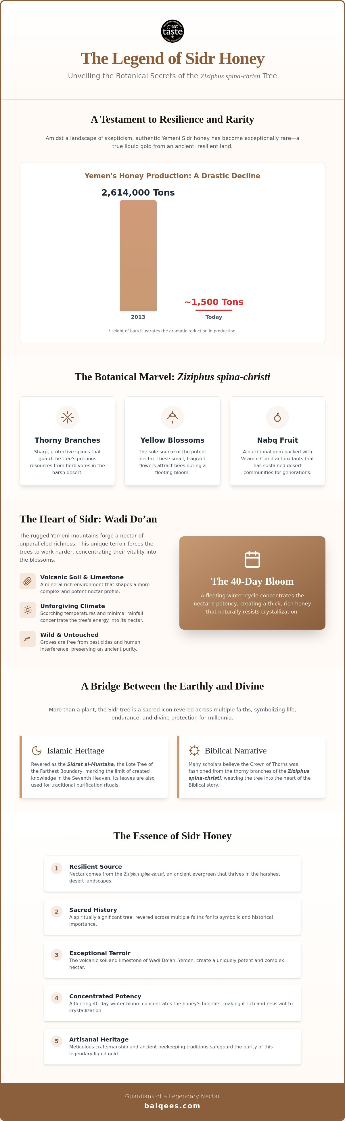 Sidr honey benefits