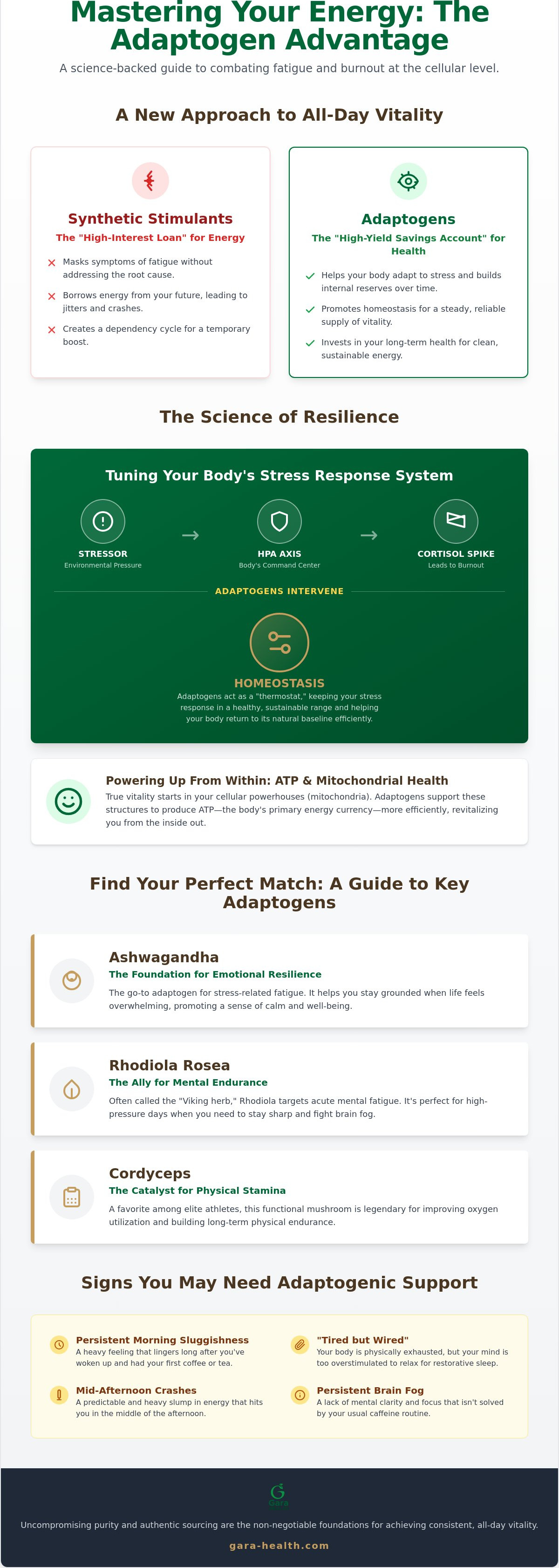 Adaptogens for energy and fatigue