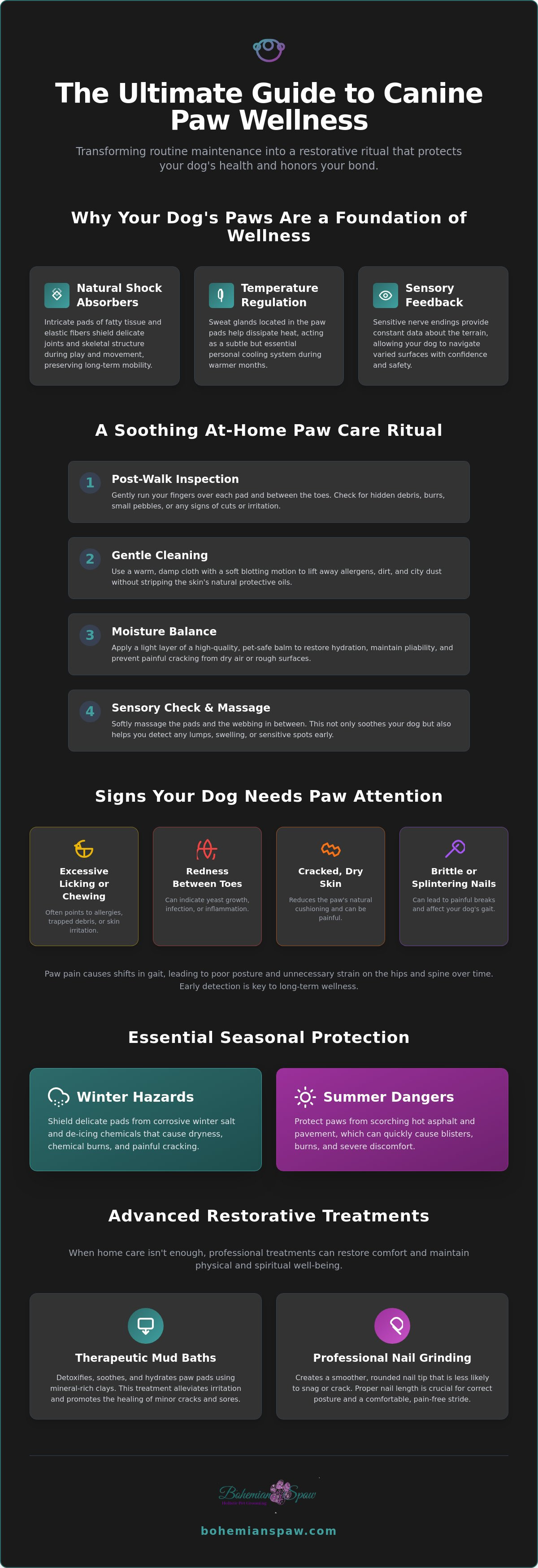 Dog paw care tips