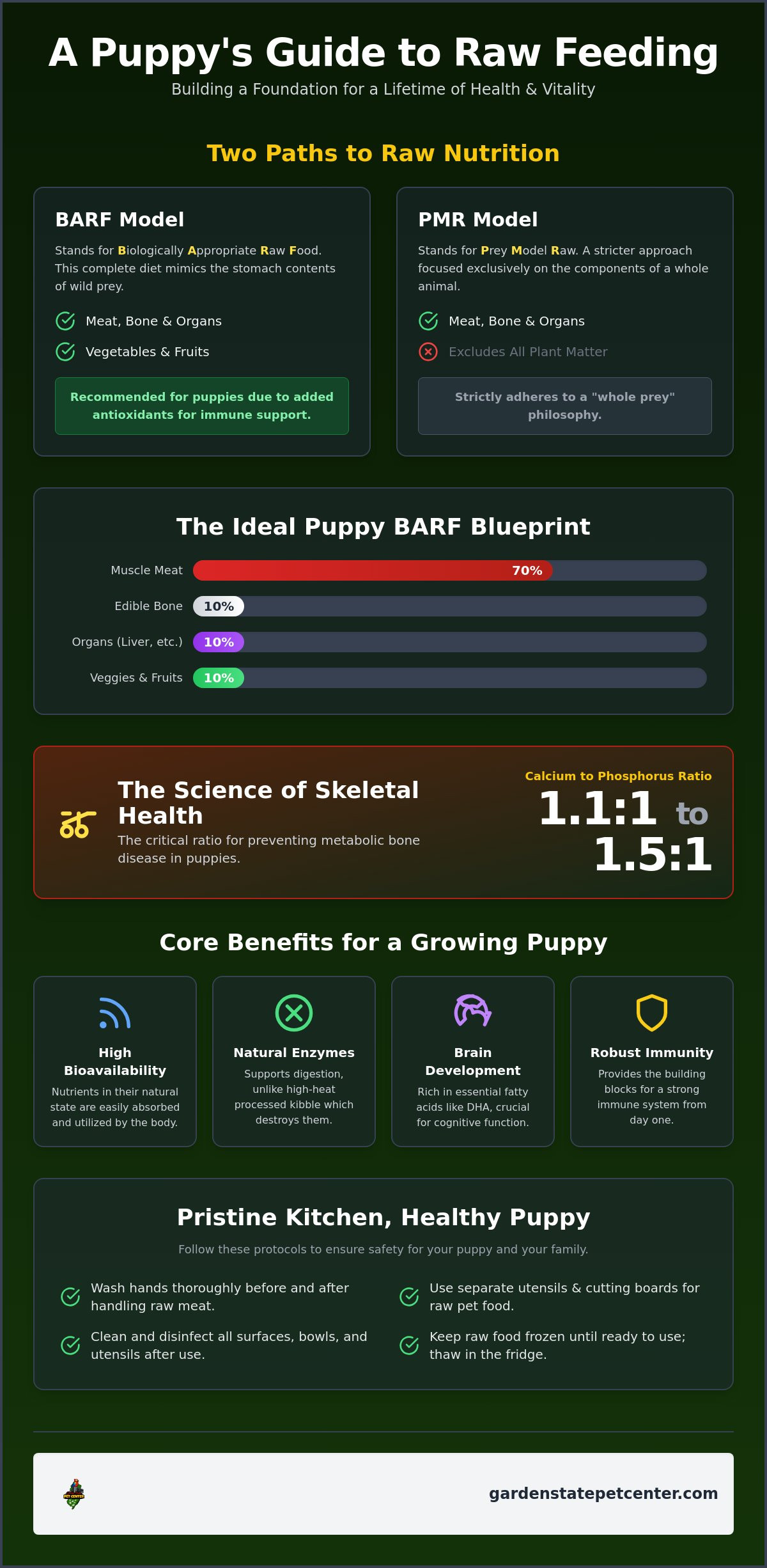 Best raw food for puppies