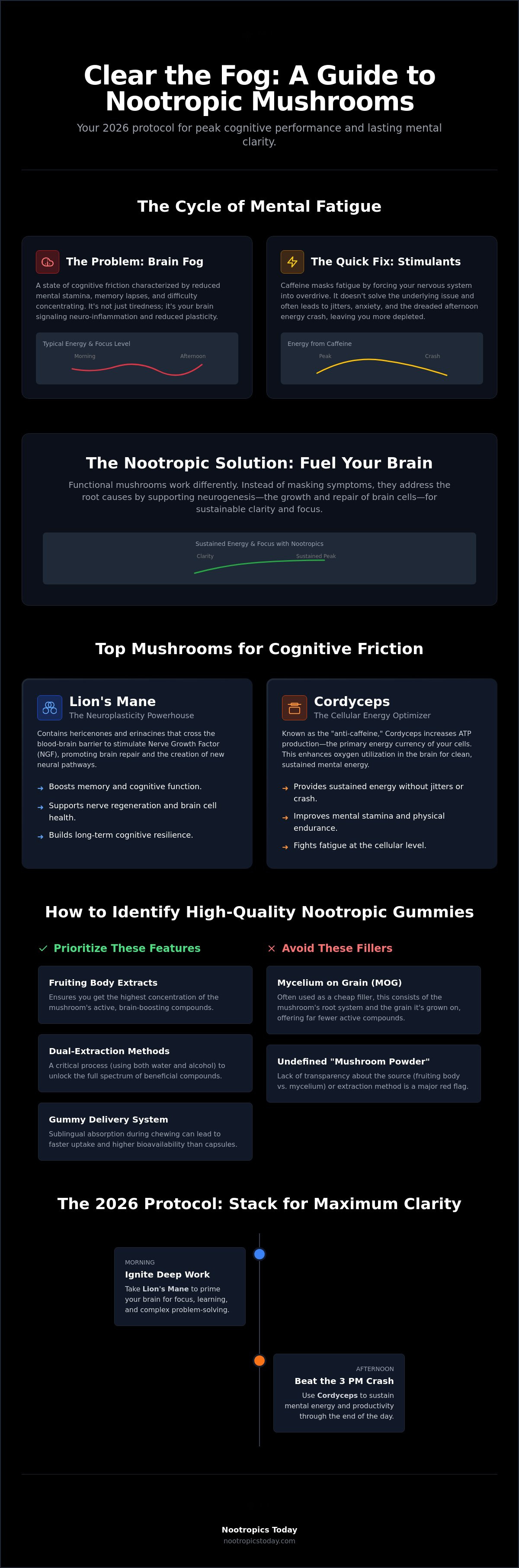 Best mushroom gummies for brain fog
