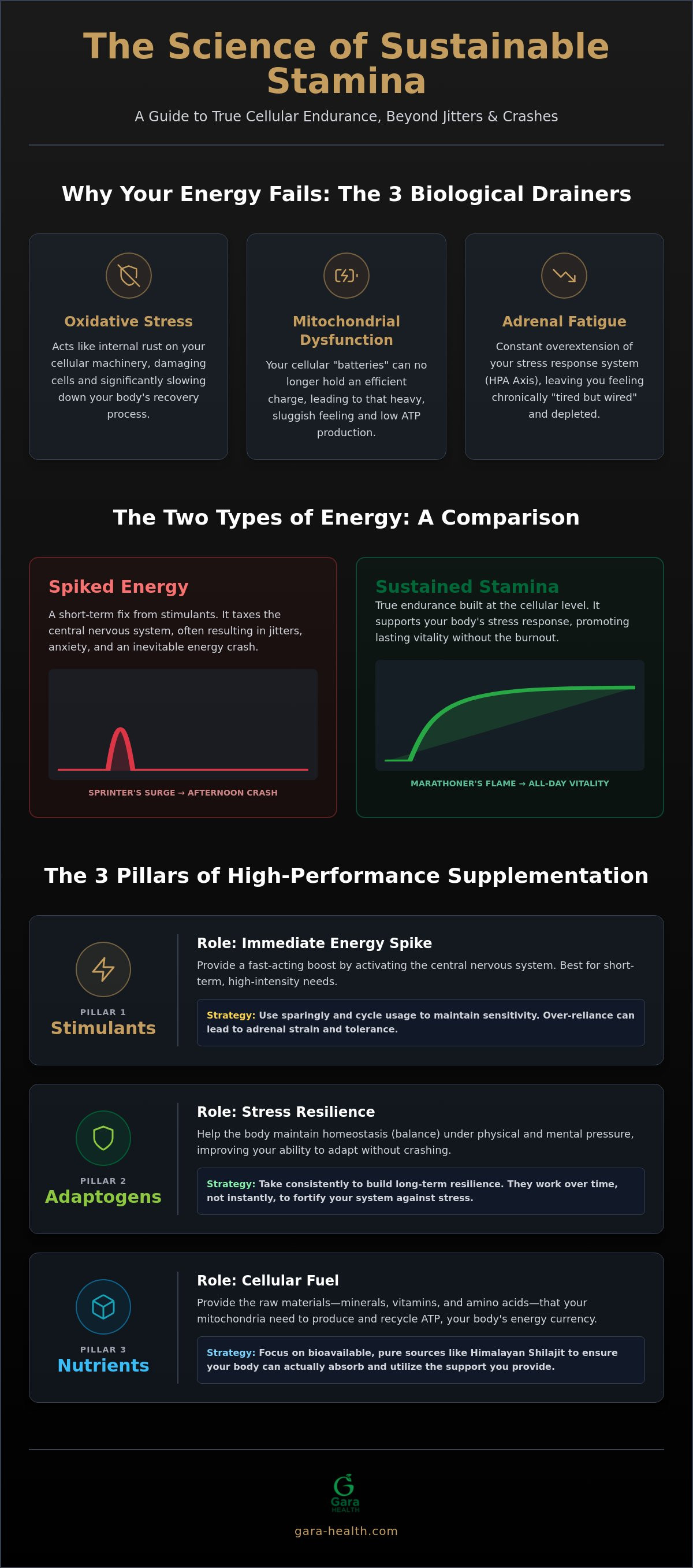 Supplements for stamina