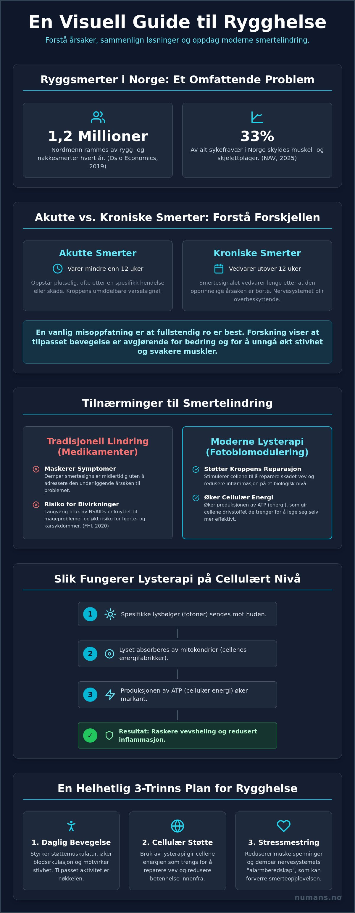 Smertelindring rygg