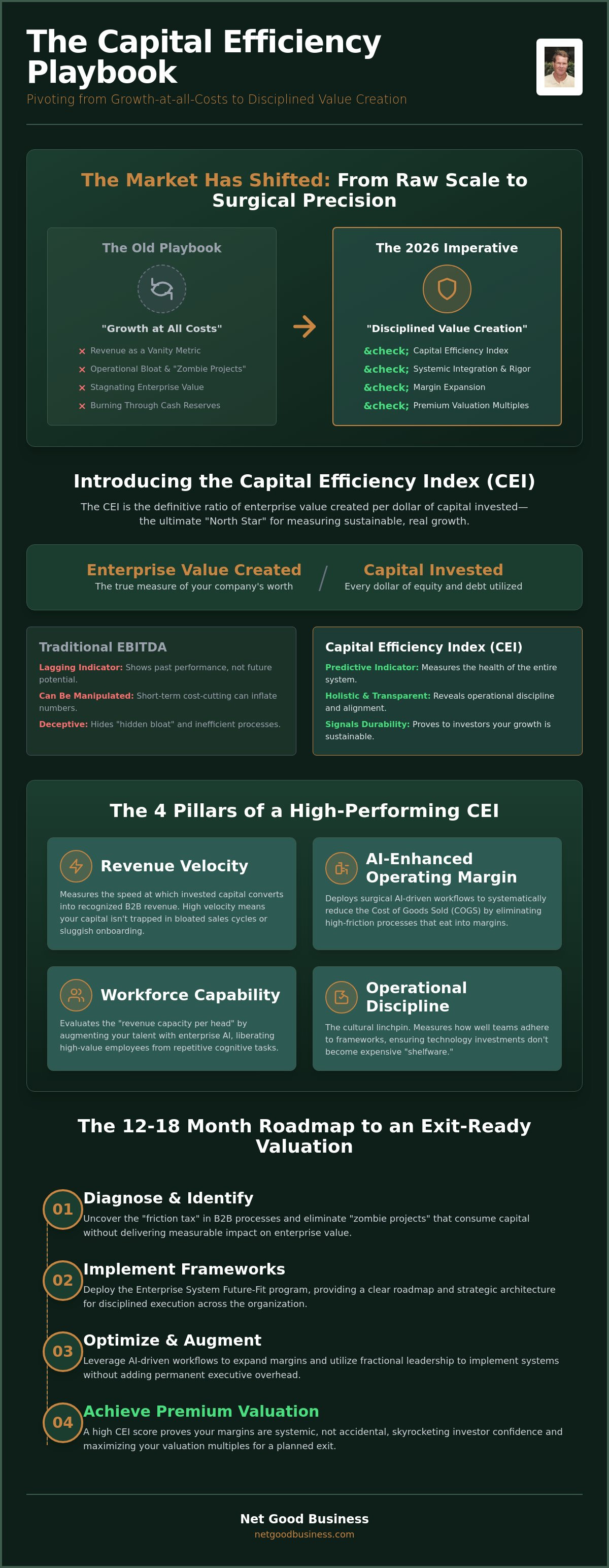 Capital efficiency index for business