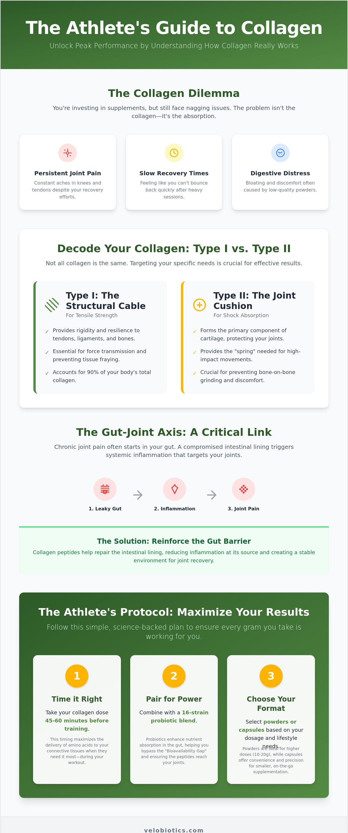 Collagen for athletes