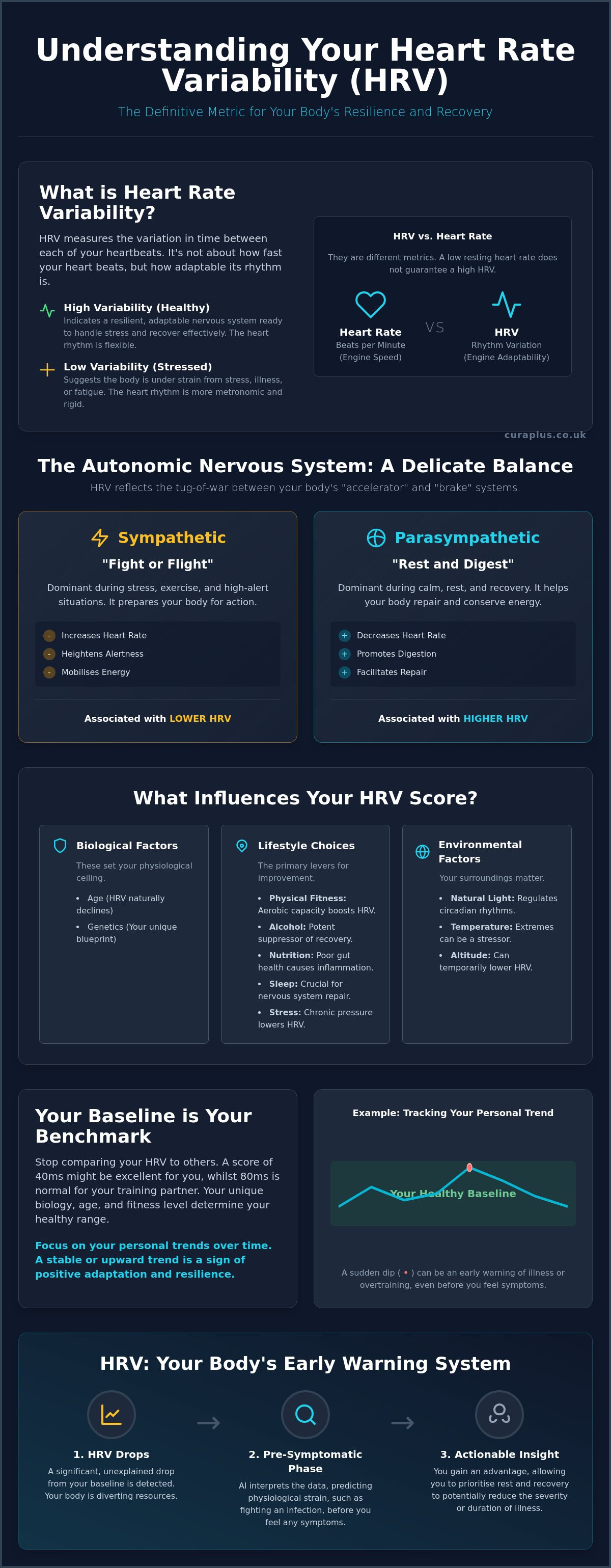How AI interprets HRV for health predictions UK
