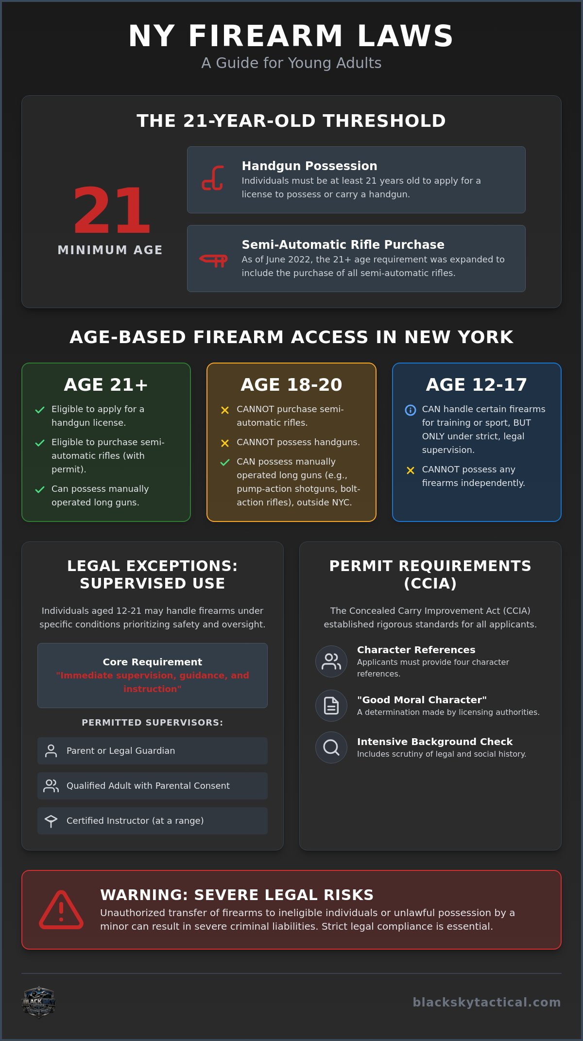 Firearm laws for young adults NY