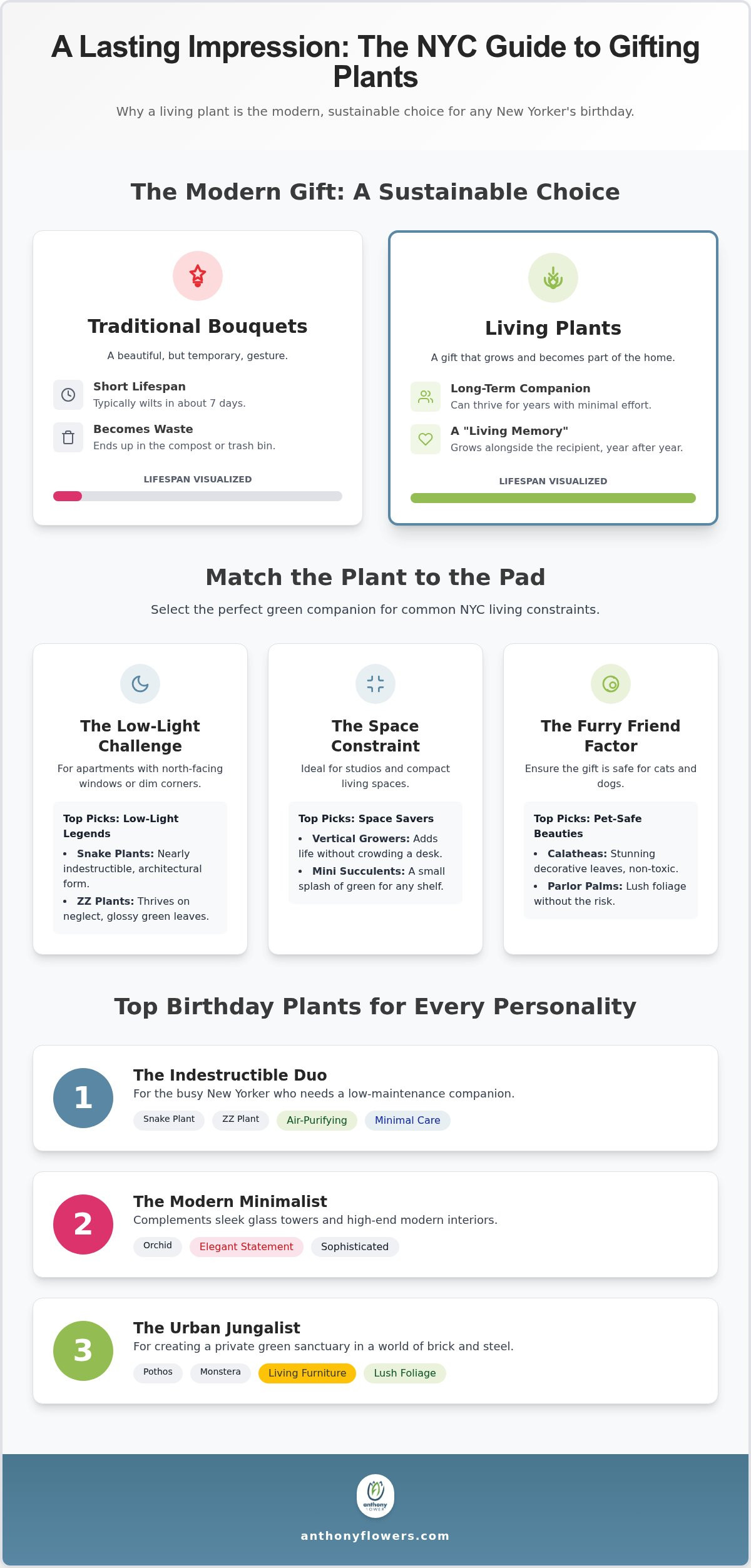 Birthday plant delivery NYC