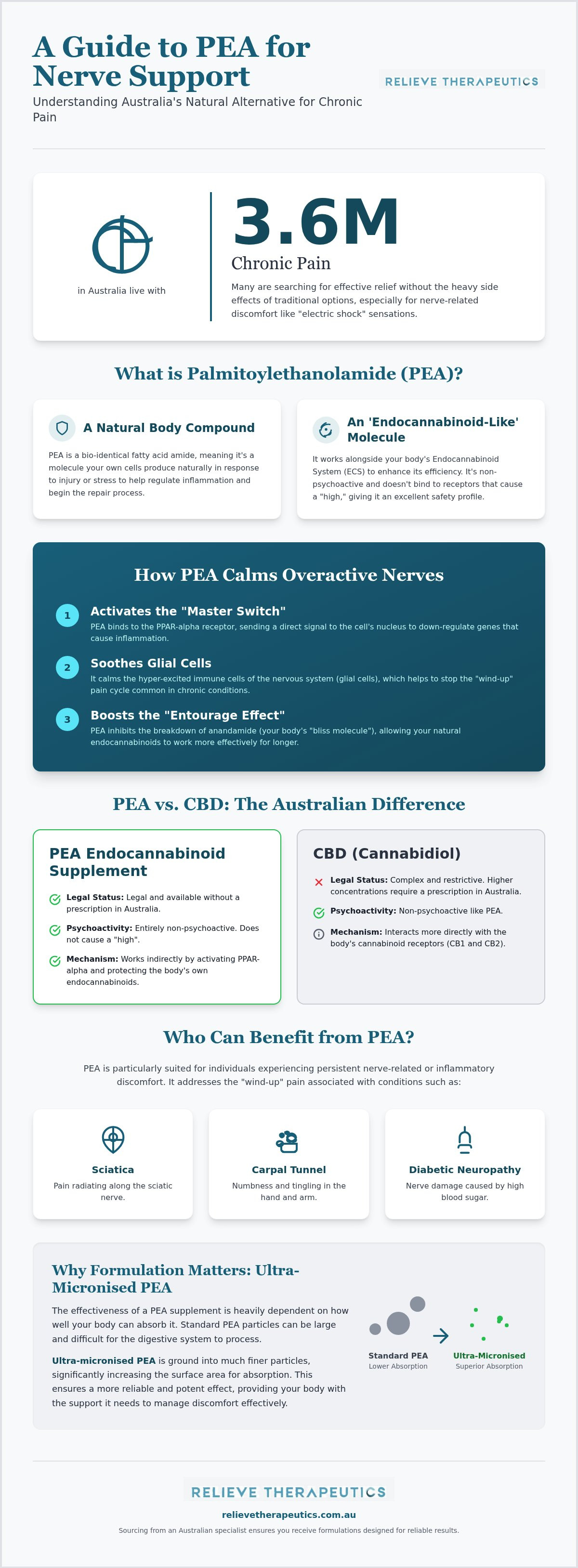 PEA endocannabinoid supplement