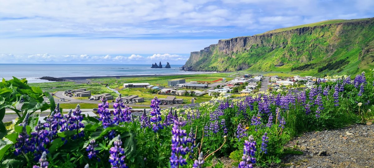 Vík í Mýrdal | Private South Coast Tour