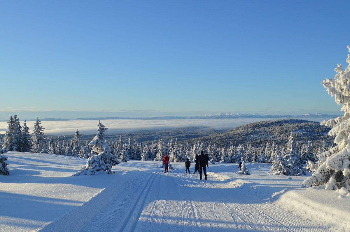 Opplev vinterfjellet på en ny måte: Beste alternativ til alpint i 2026