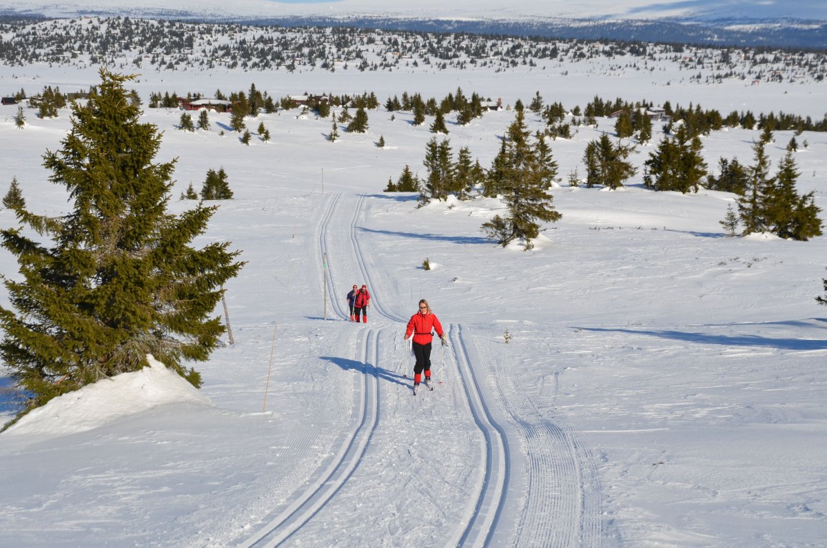 Booking i Nordseter Fjellpark: Din guide til fjellets ro i 2026