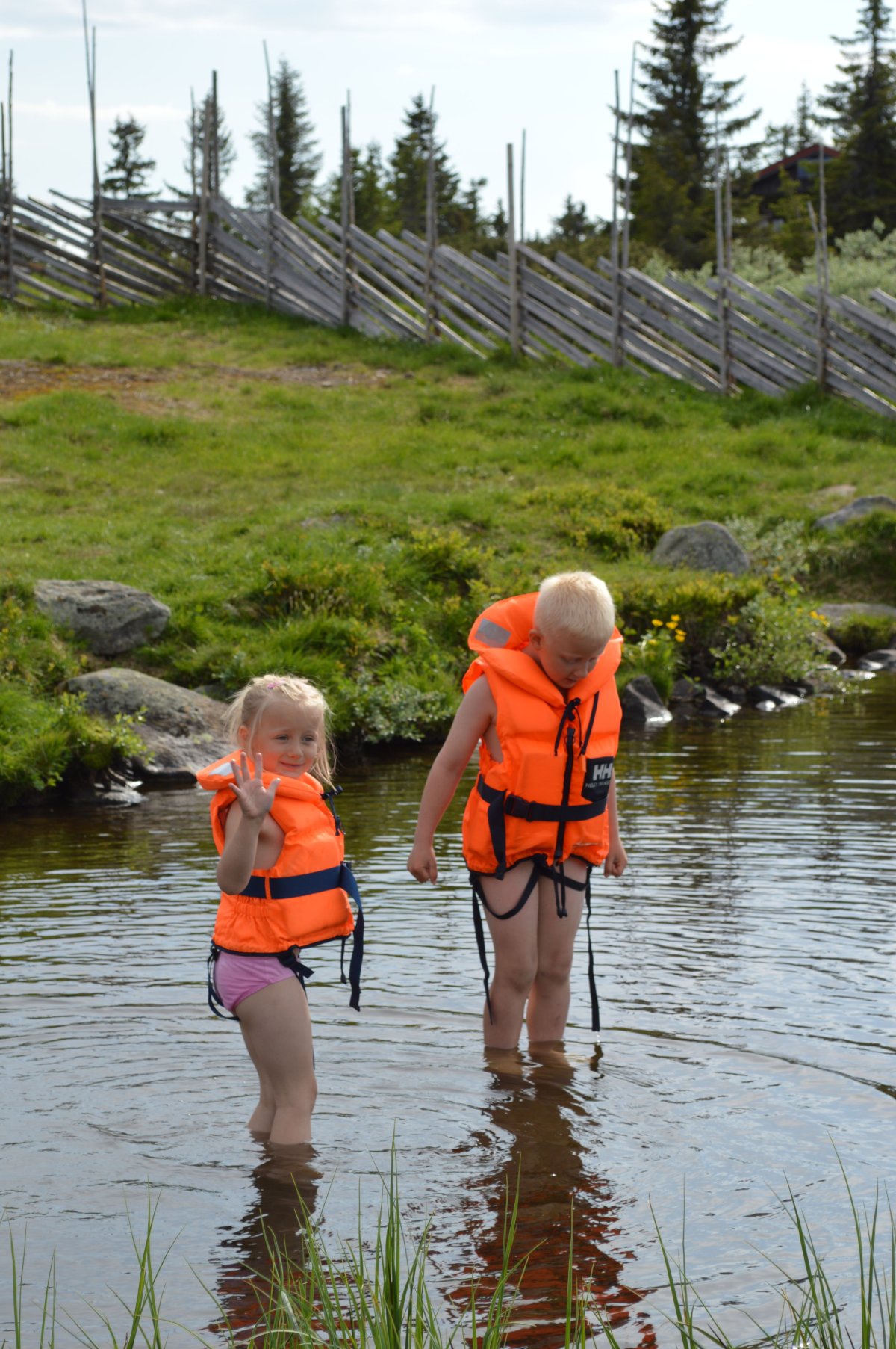 Sommer på Nordseter: Ro i fjellet nær Lillehammer