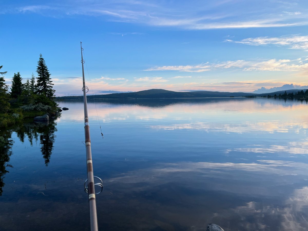Fiske og grilling i Lillehammer: Guide til gapahuk-tur