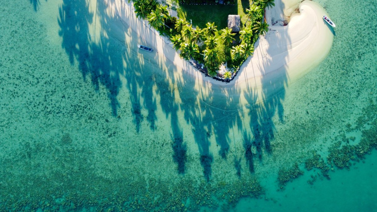 Luxury Fiji Dive Resorts: The 2026 Connoisseur’s Guide to Underwater Opulence