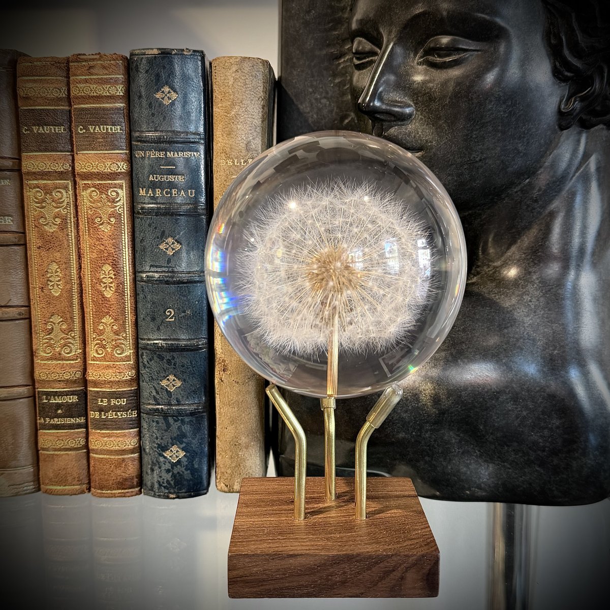 Luxury dandelion sphere displayed on a handcrafted walnut and brass stand, positioned beside antique leather-bound books and a dark bronze sculpture. The preserved dandelion seed head appears suspended within a crystal-clear sphere, creating an elegant blend of nature, art, and timeless craftsmanship.