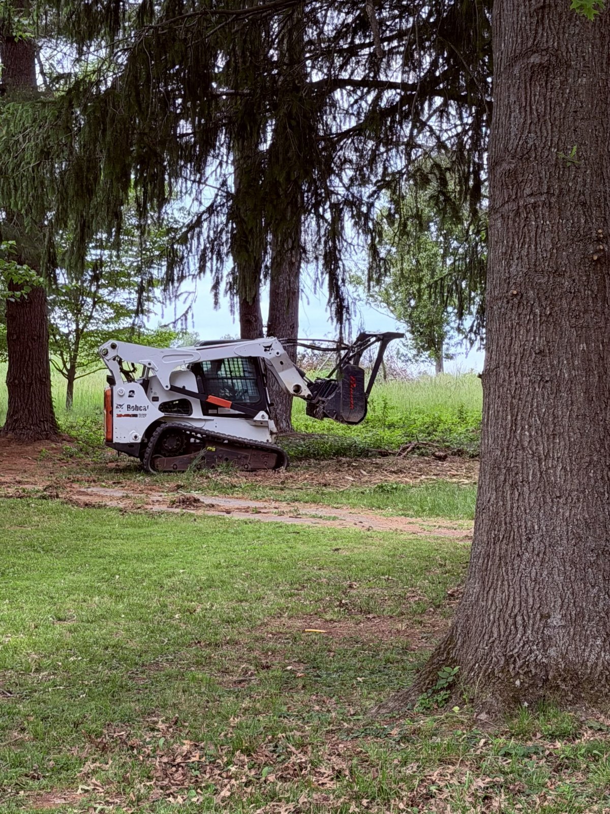 Forestry Mulching in Adair County KY: The Complete Landowner’s Guide