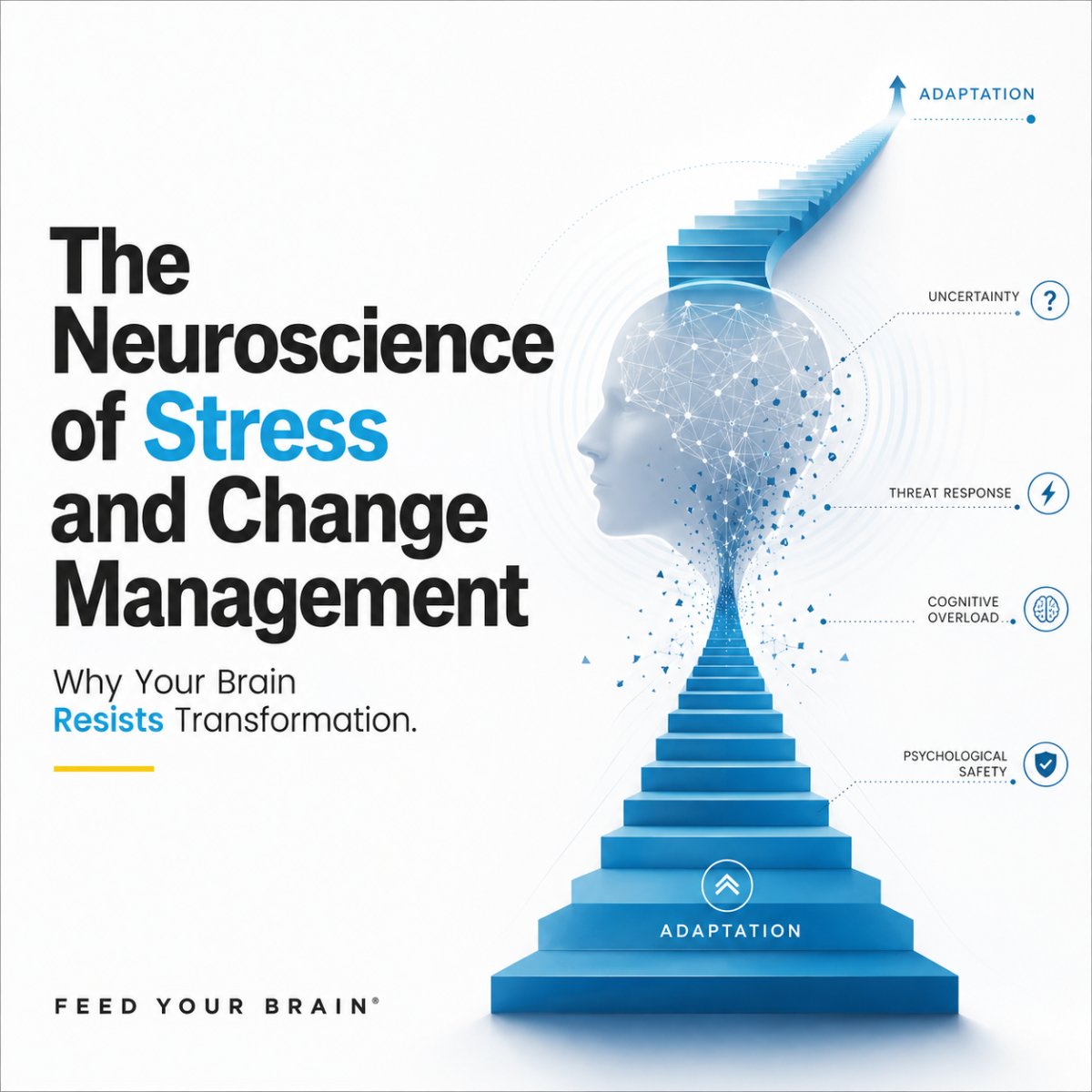 The Neuroscience of Stress and Change Management: Why Your Brain Resists Transformation