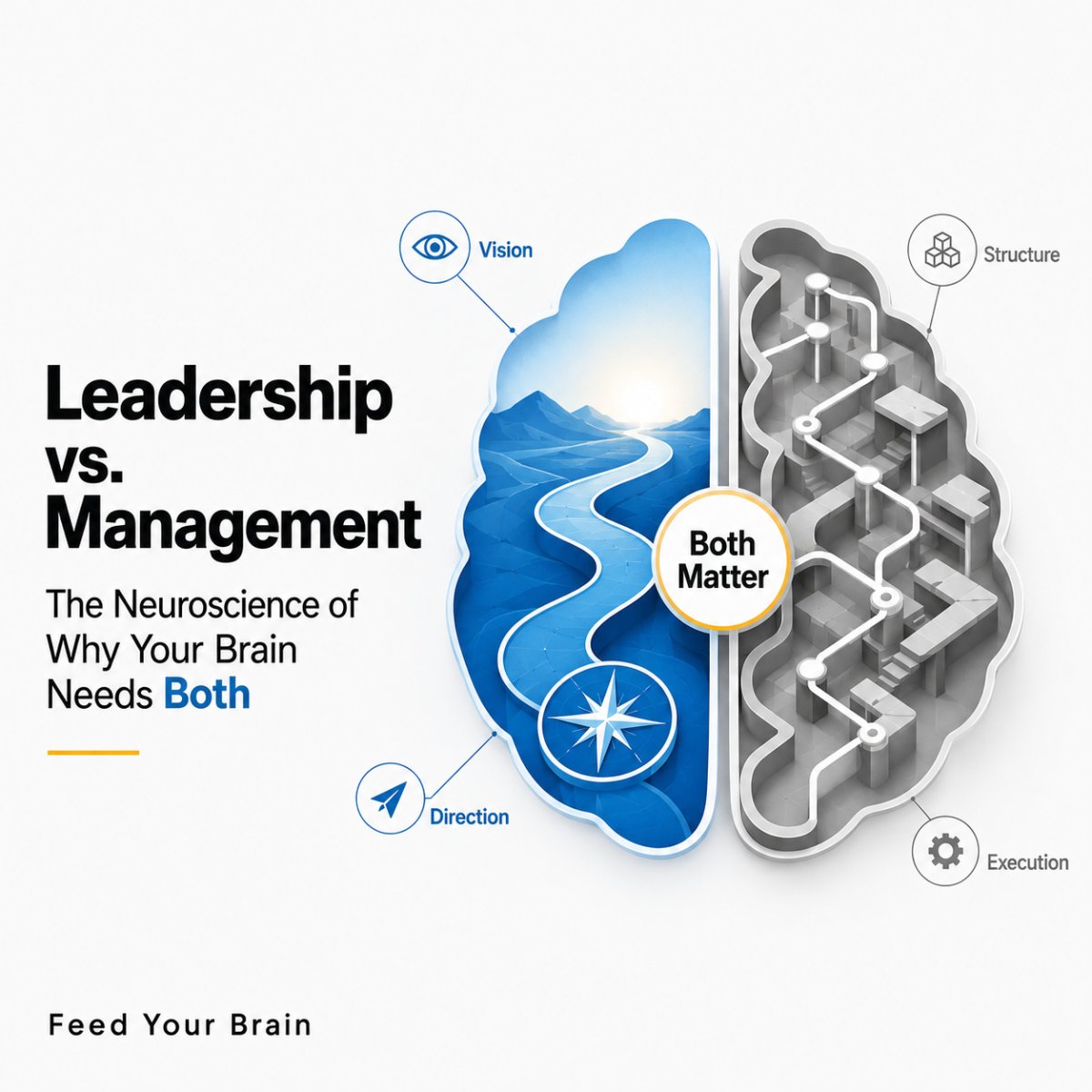 Leadership vs. Management: The Neuroscience of Why Your Brain Needs Both
