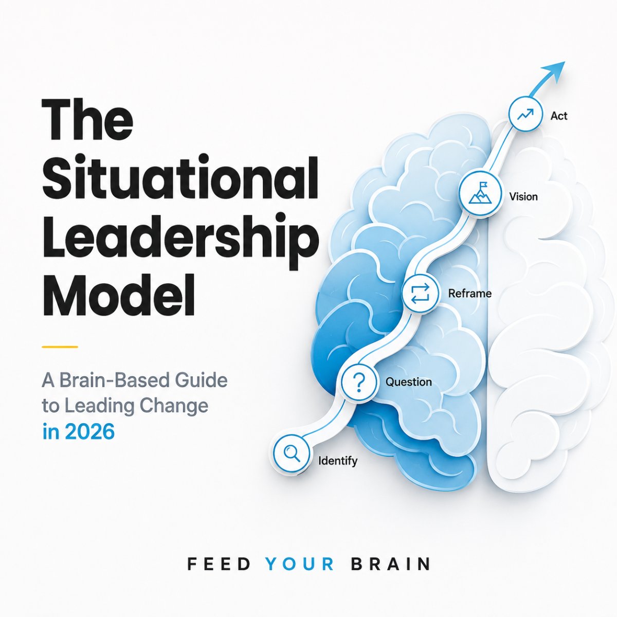 The Situational Leadership Model: A Brain-Based Guide to Leading Change in 2026