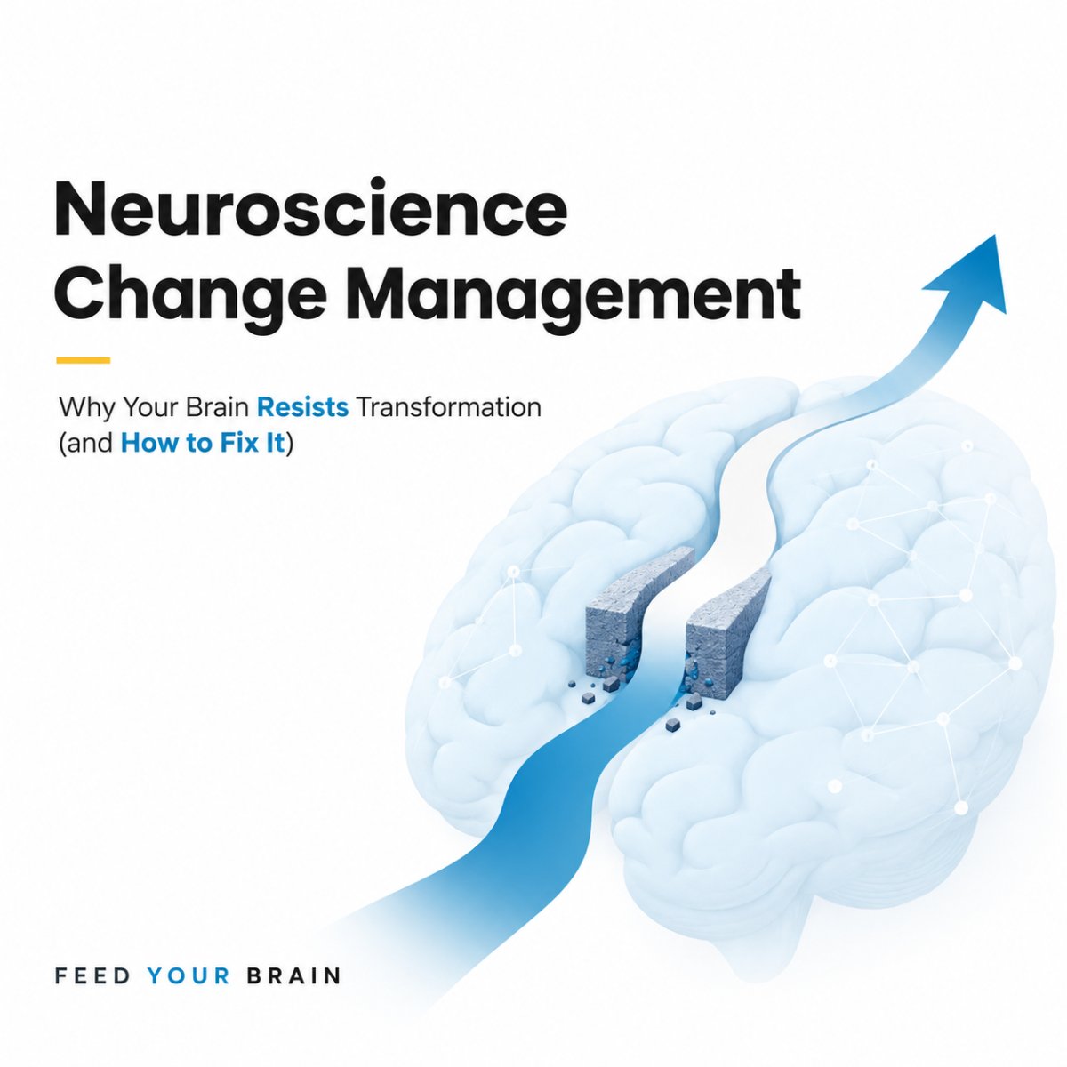 Neuroscience Change Management: Why Your Brain Resists Transformation (and How to Fix It)