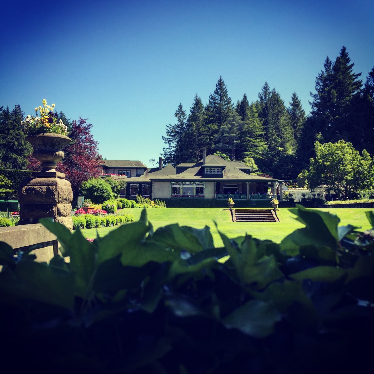 Butchart Gardens Tours from Victoria: The Ultimate 2026 Traveller's Guide