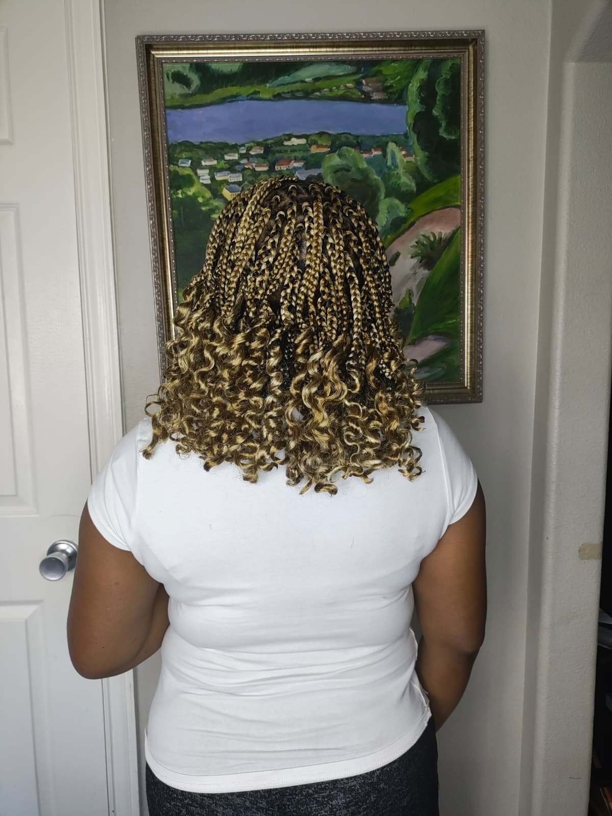 Traditional Box Braids Near Me: A Beasley, Texas Guide