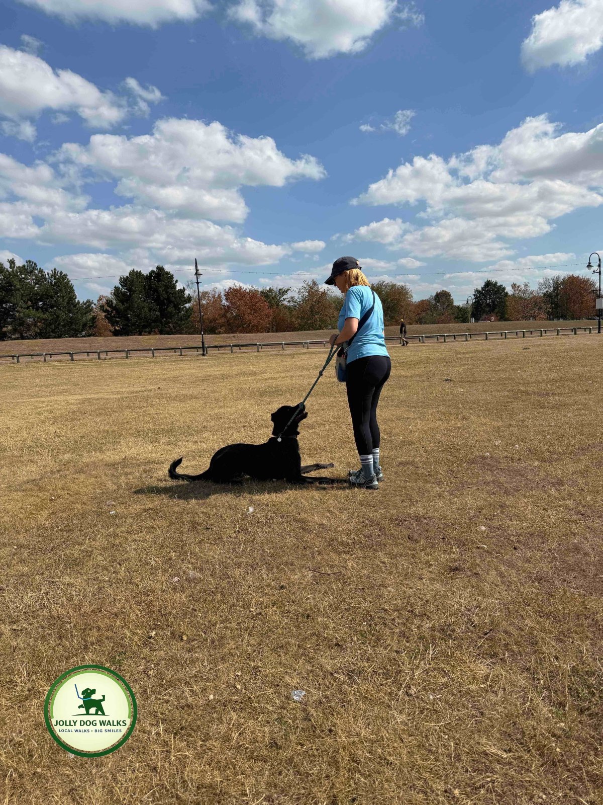 Professional dog walker in Barton Under Needwood