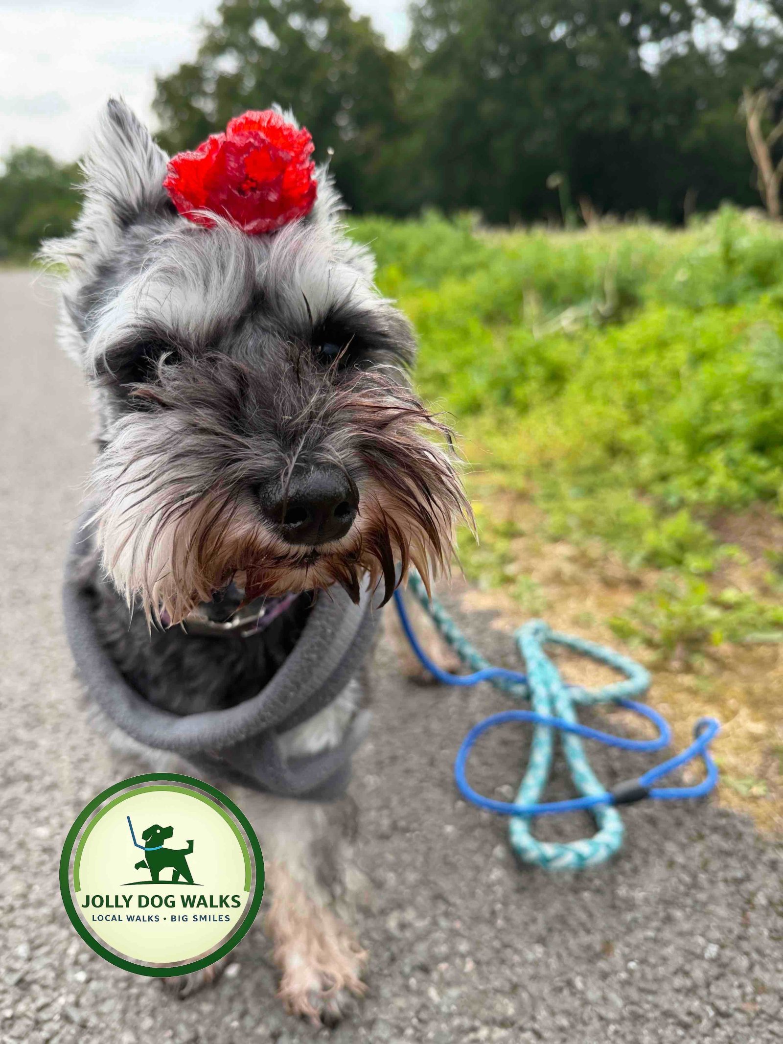 Last minute pet care in Hamstall Ridware: services and estimated costs