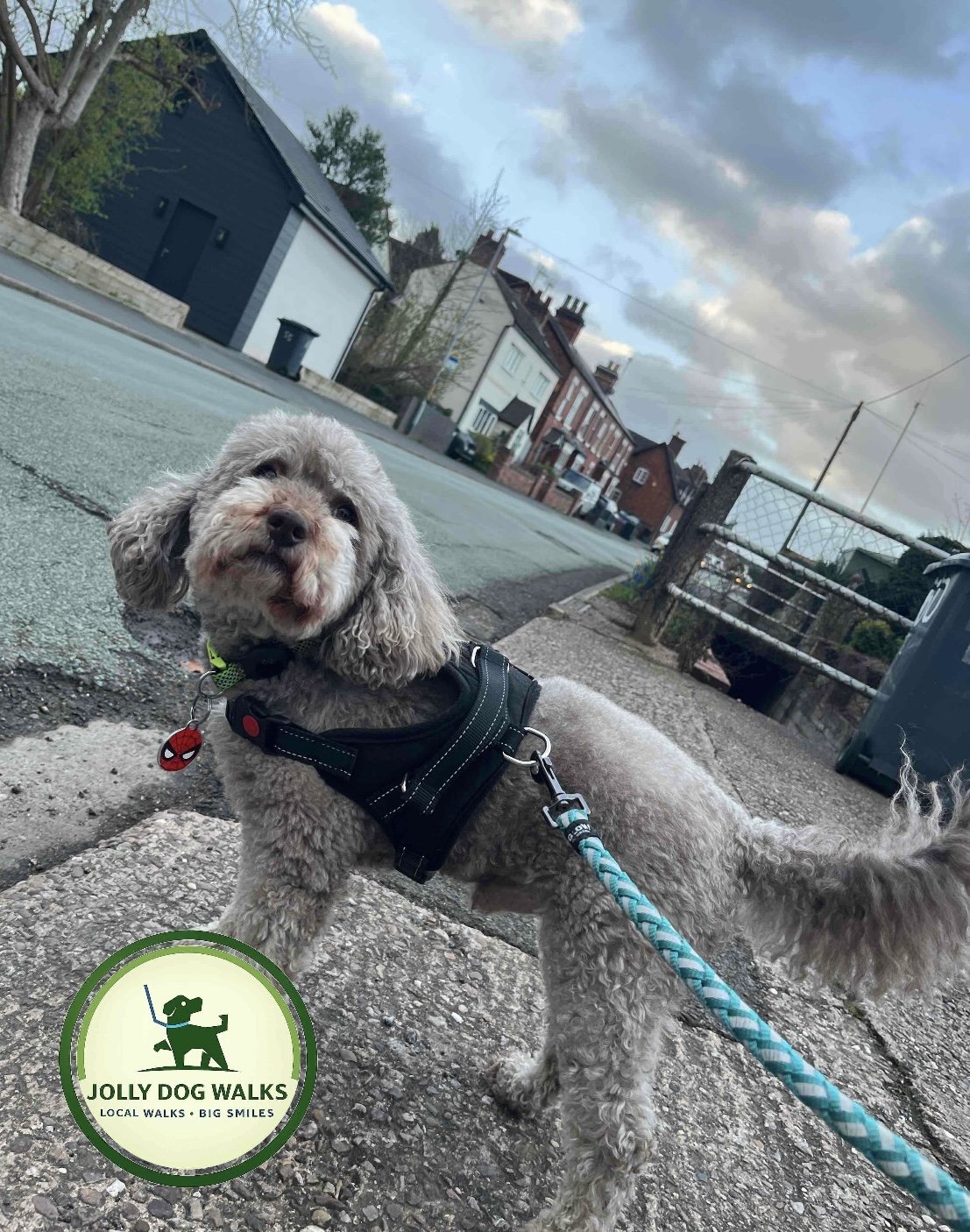 Peace of Mind with a Pet Sitter in Barton-under-Needwood