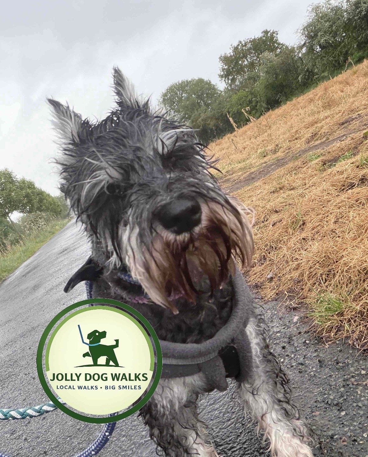 Pet Care in Walton on Trent: A Stress-Free 2026 Guide