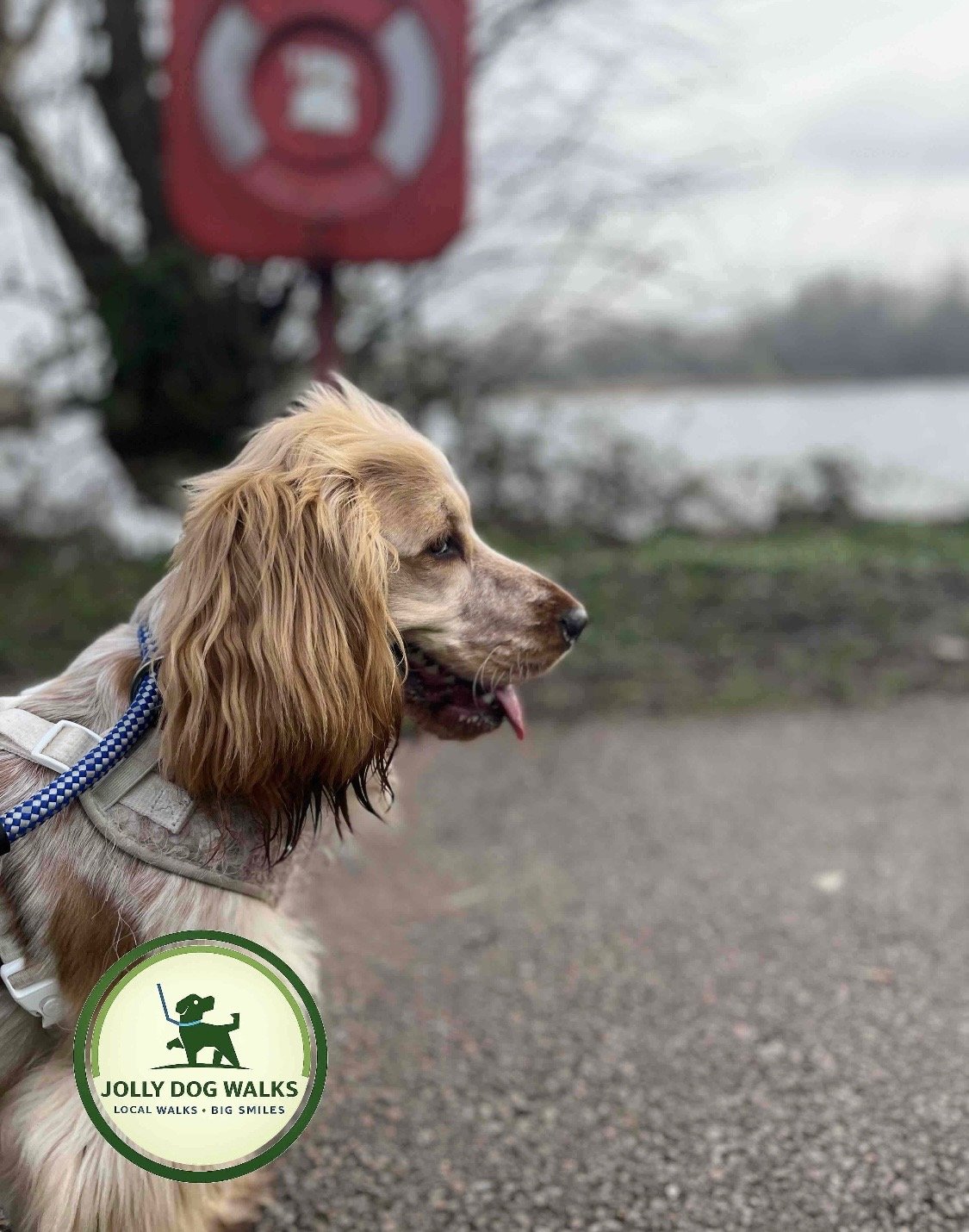 Pet care provider costs in Burton upon Trent