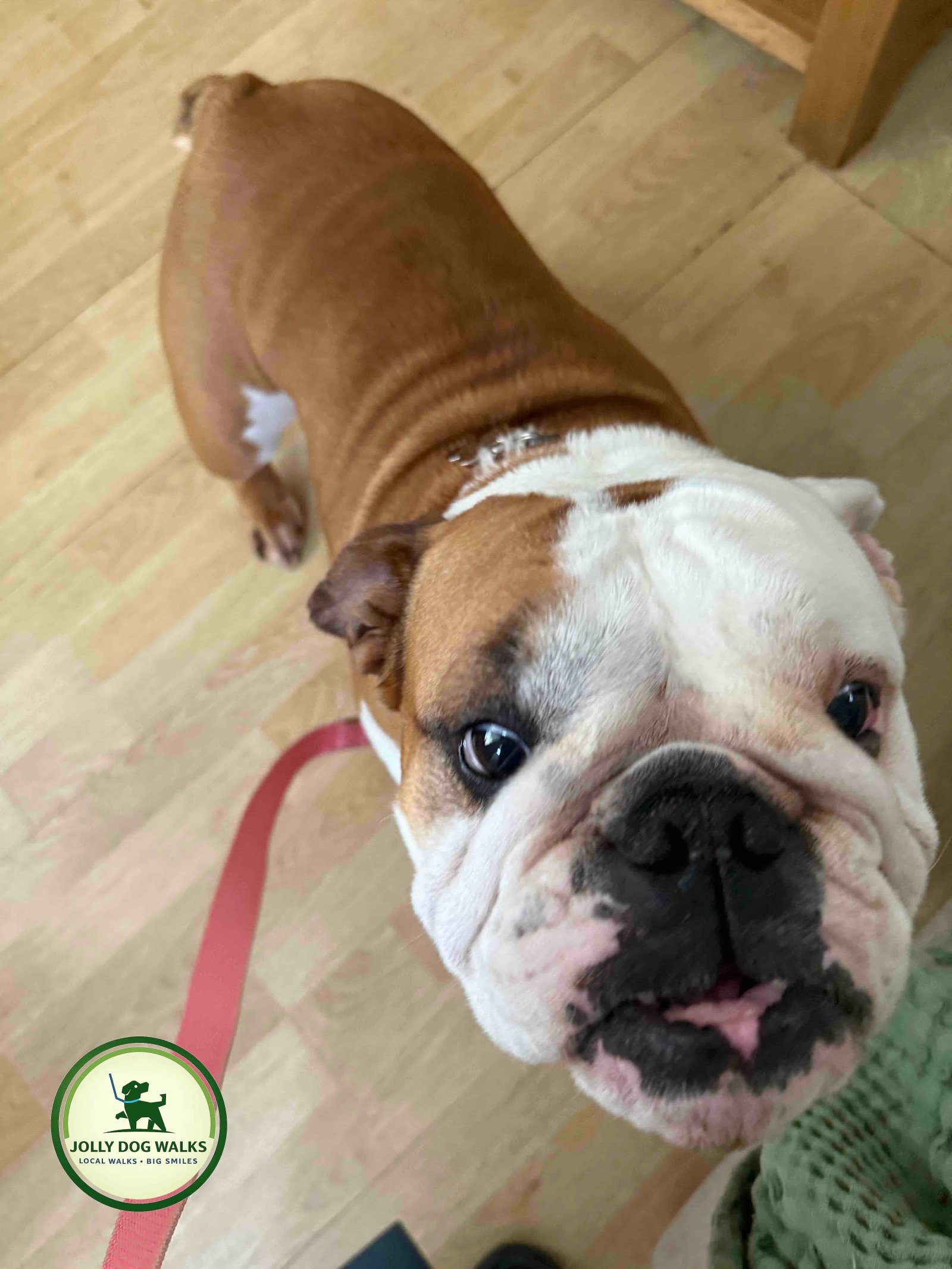 Pet drop in service in Branston with personalised quotes