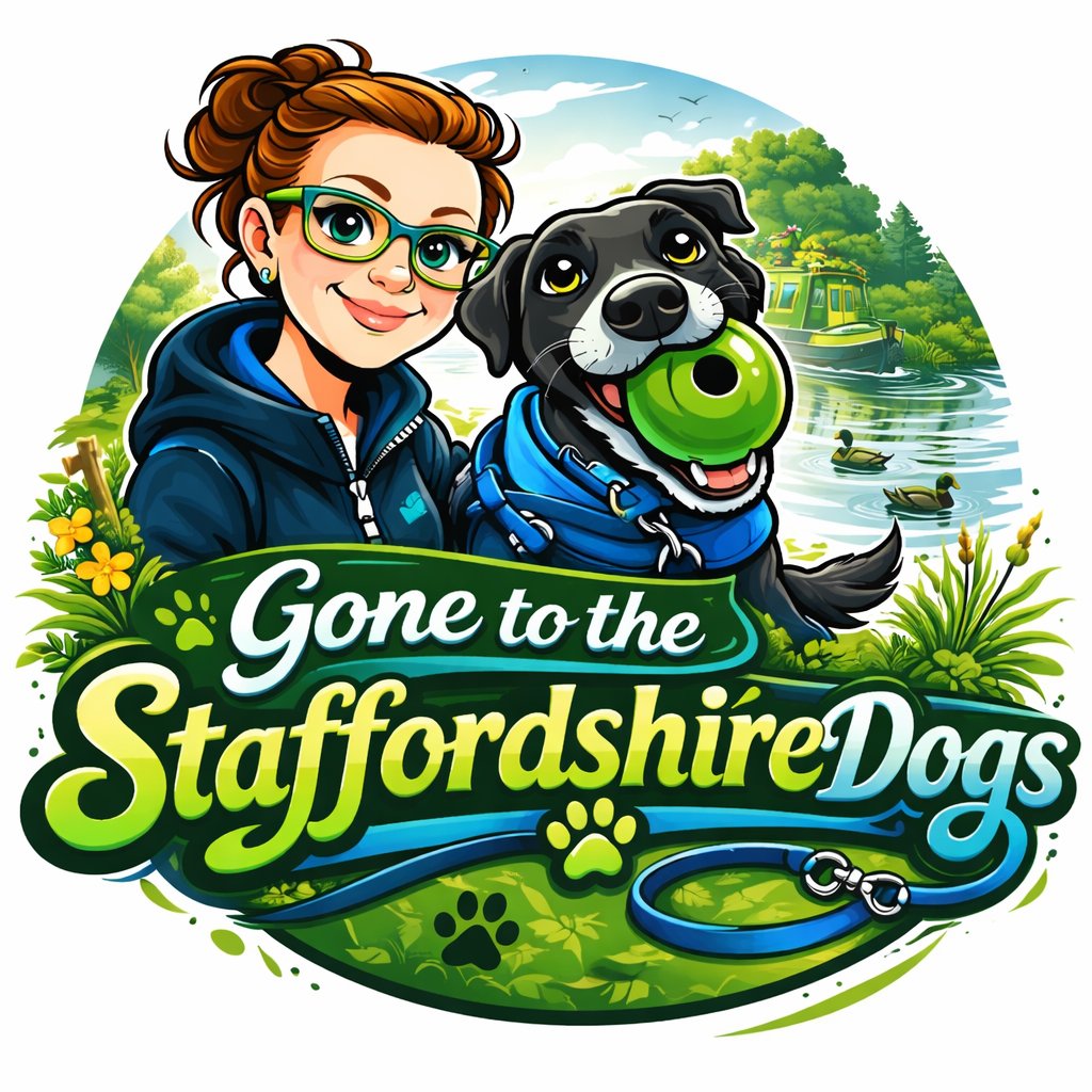 Post-operative pet care in Barton-under-Needwood: choosing a dog walker after vet approval