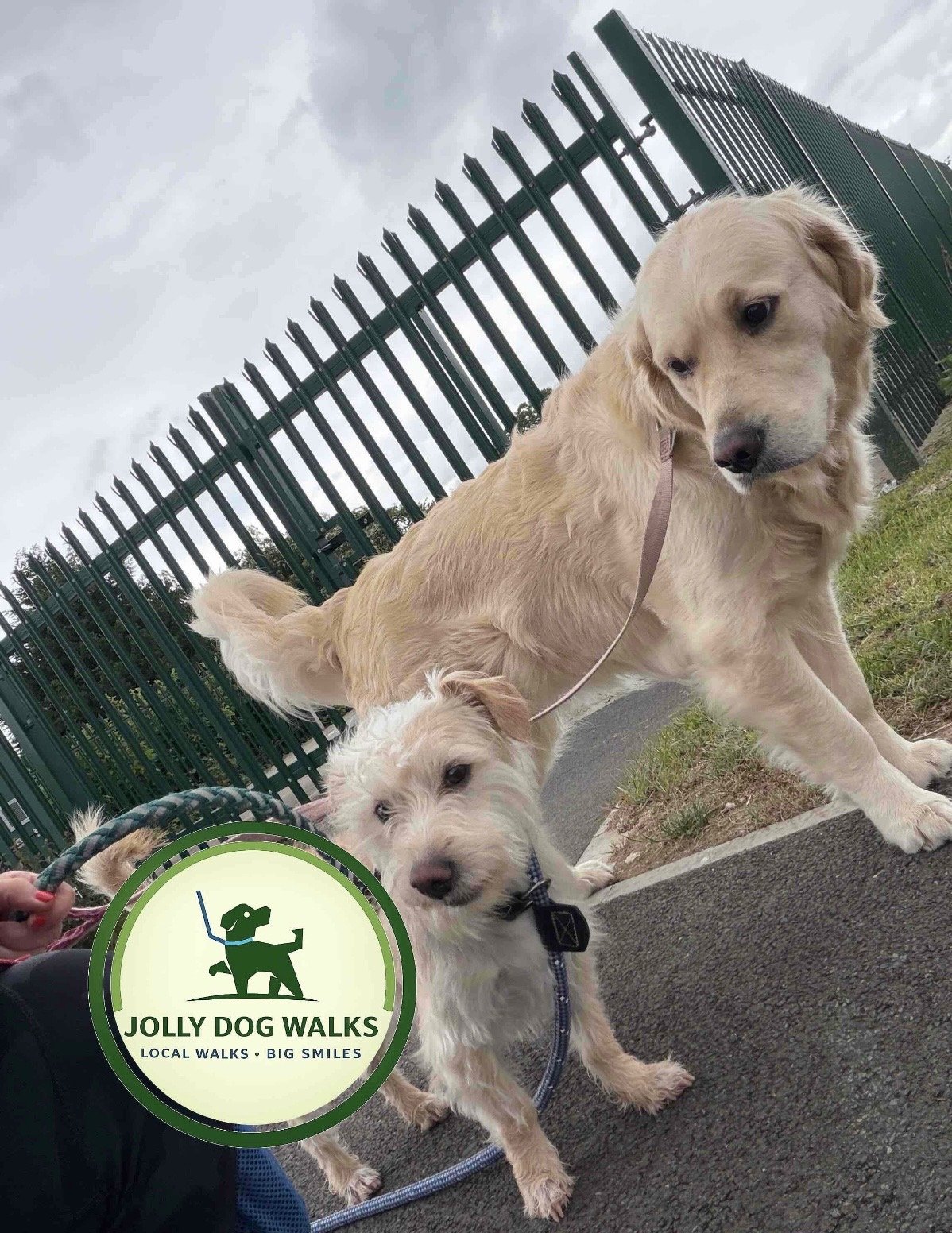 Professional pet care in Yoxall for busy schedules